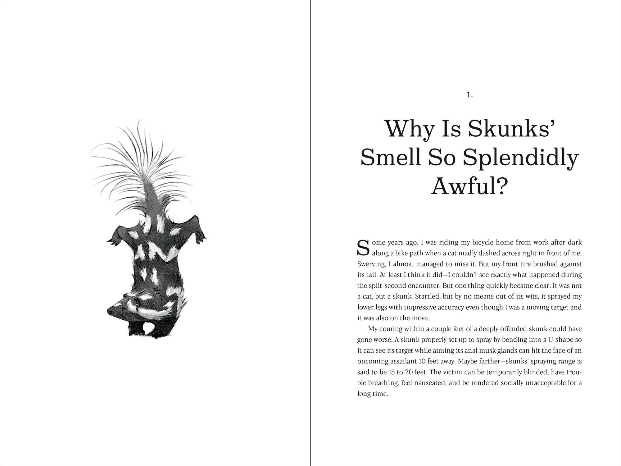 Why Rats Laugh and Jellyfish Sleep: And Other Enchanting Stories of Evolution