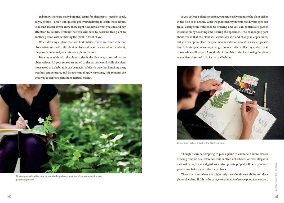 A Perpetual Journal Practice: Building a Connection with Nature through Art