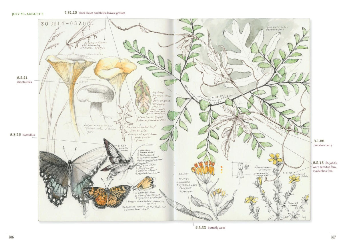 A Perpetual Journal Practice: Building a Connection with Nature through Art