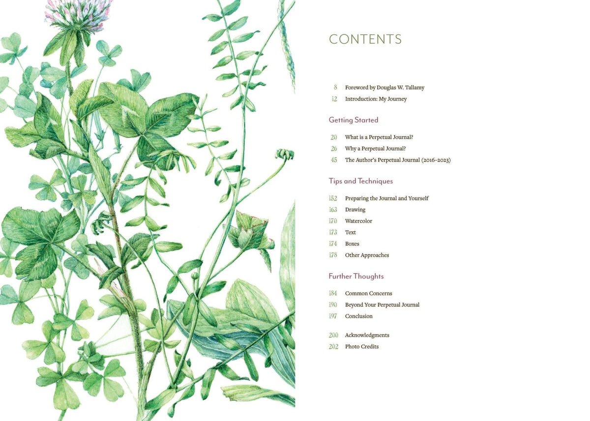 A Perpetual Journal Practice: Building a Connection with Nature through Art