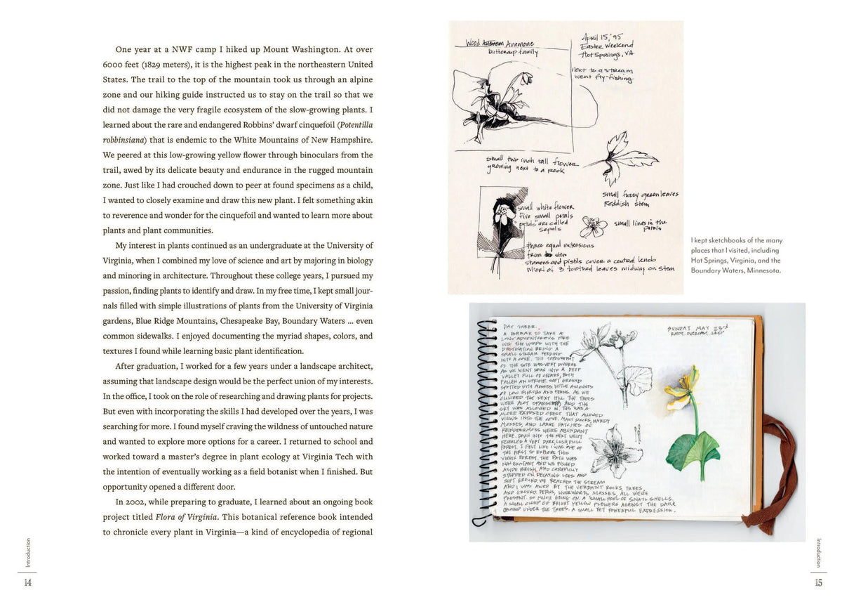 A Perpetual Journal Practice: Building a Connection with Nature through Art