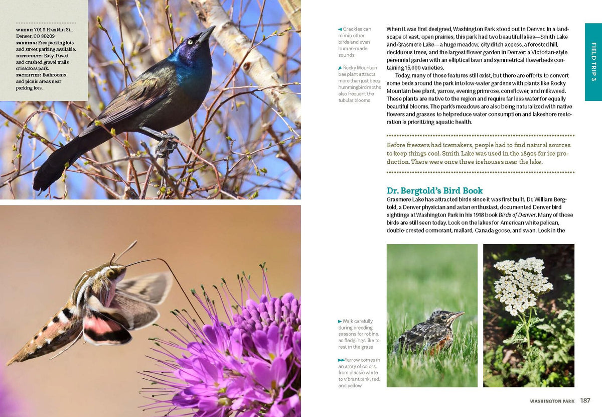 Wild Denver: Explore the Amazing Nature in and around the Mile High City