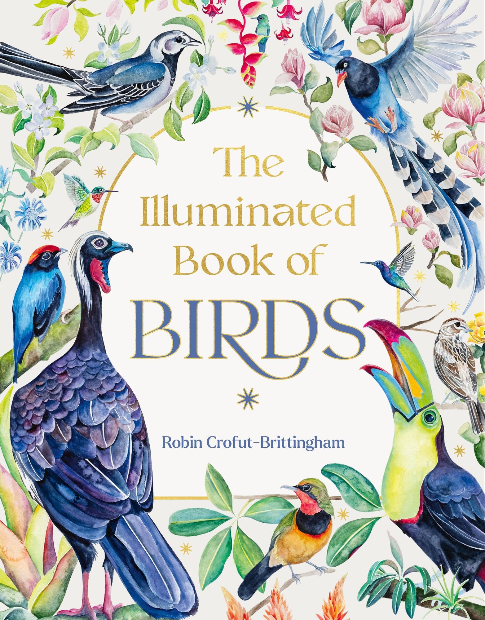 The Illuminated Book of Birds