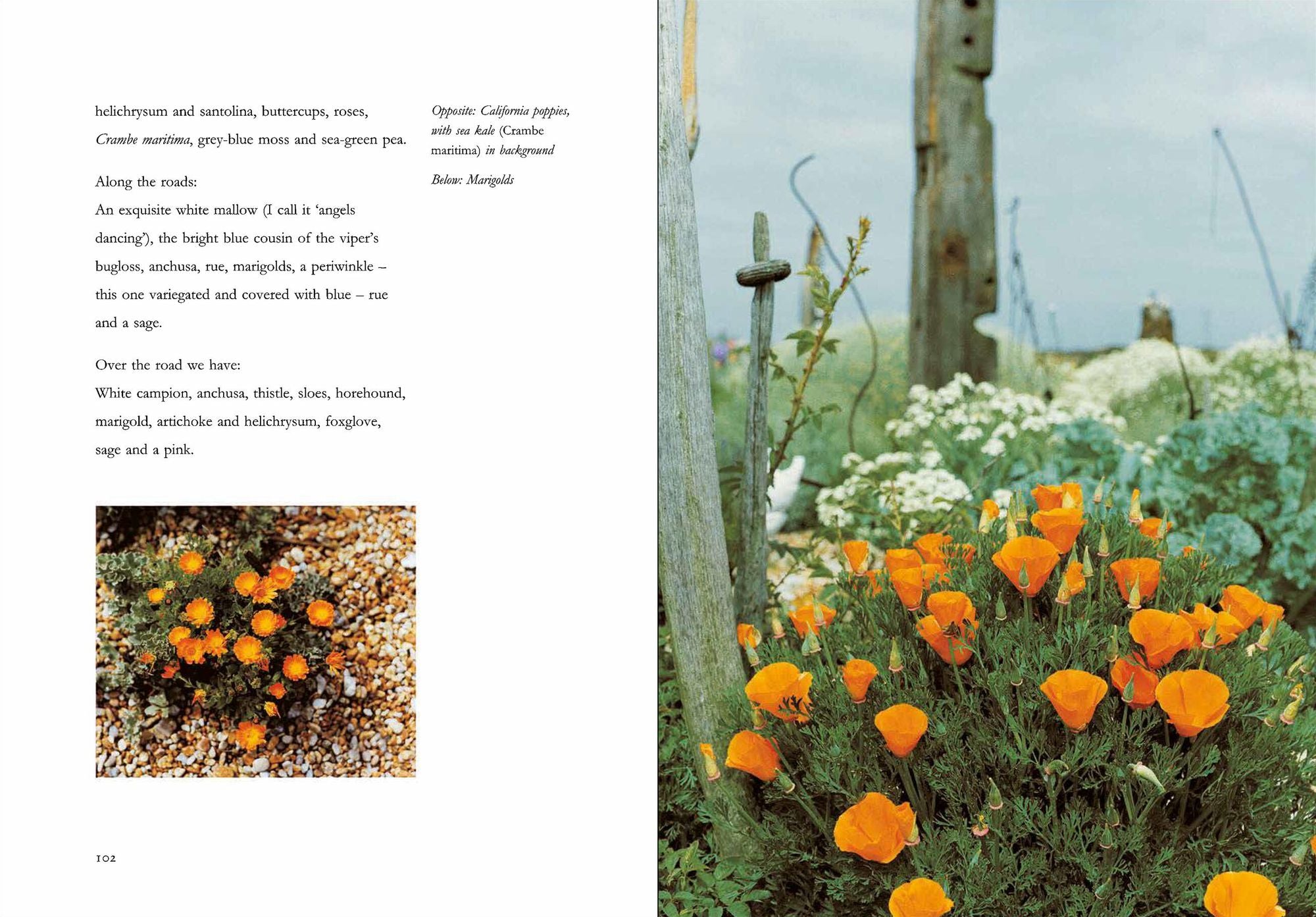 Derek Jarman's Garden: 30th Anniversary Edition