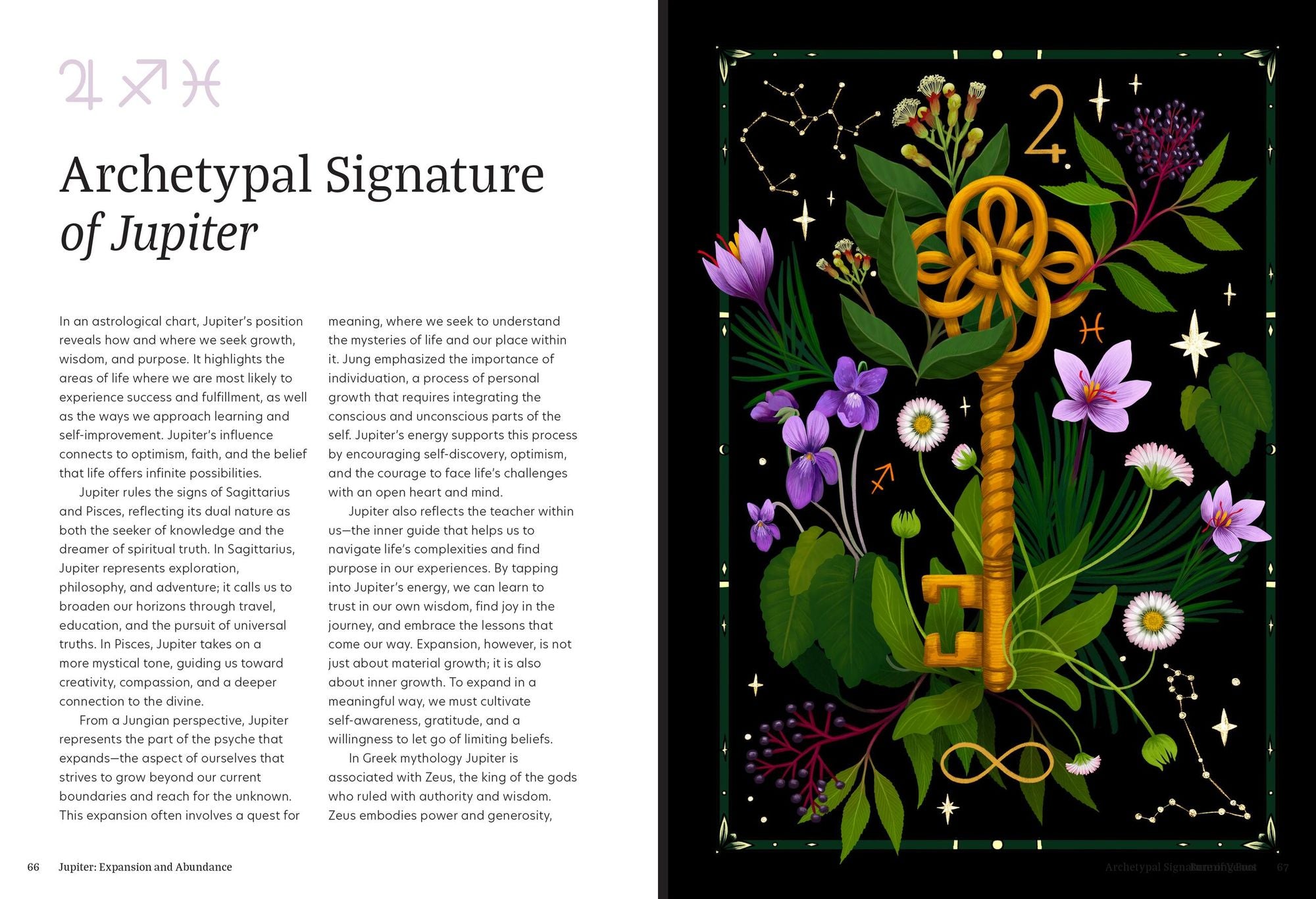 Astro Herbalism: Holistic Wellness and Self-Discovery through Herbalism and Astrology