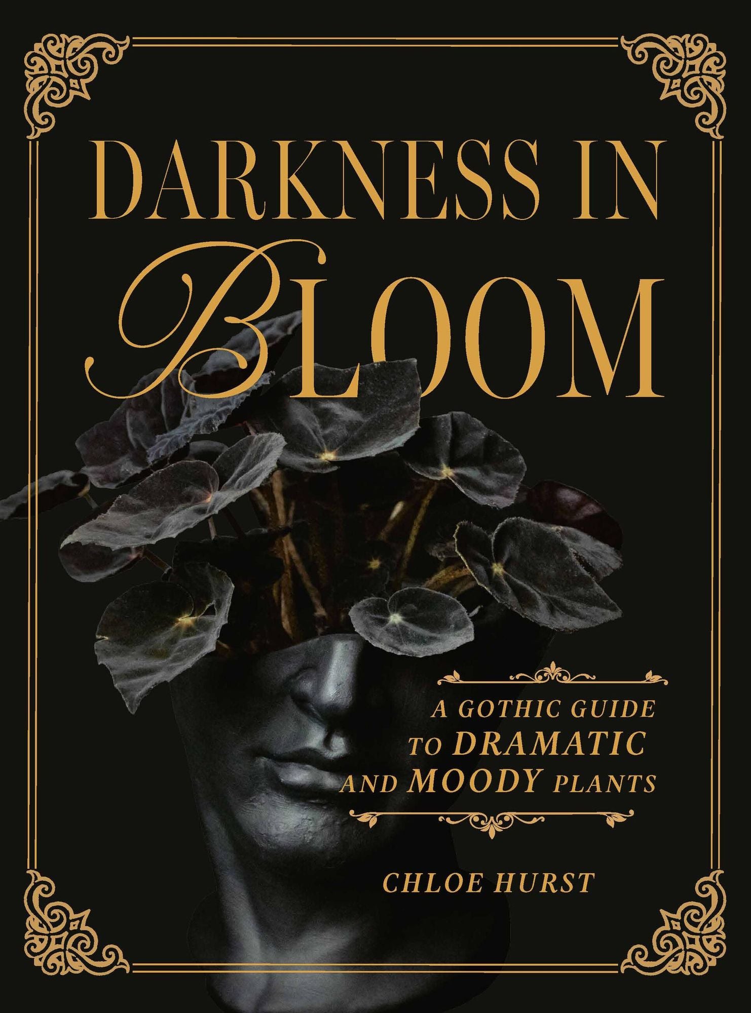 Darkness in Bloom: A Gothic Guide to Dramatic and Moody Plants