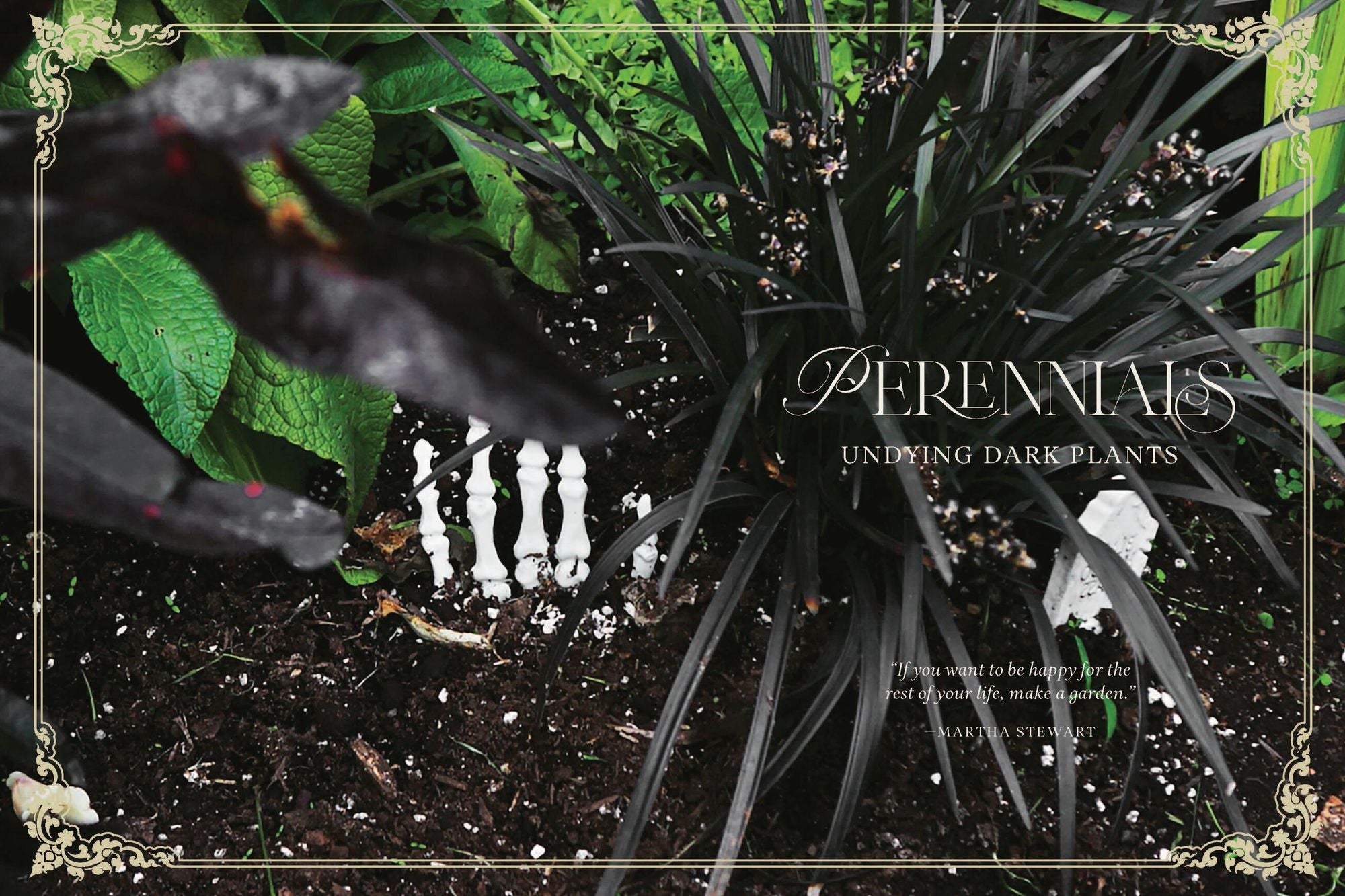 Darkness in Bloom: A Gothic Guide to Dramatic and Moody Plants