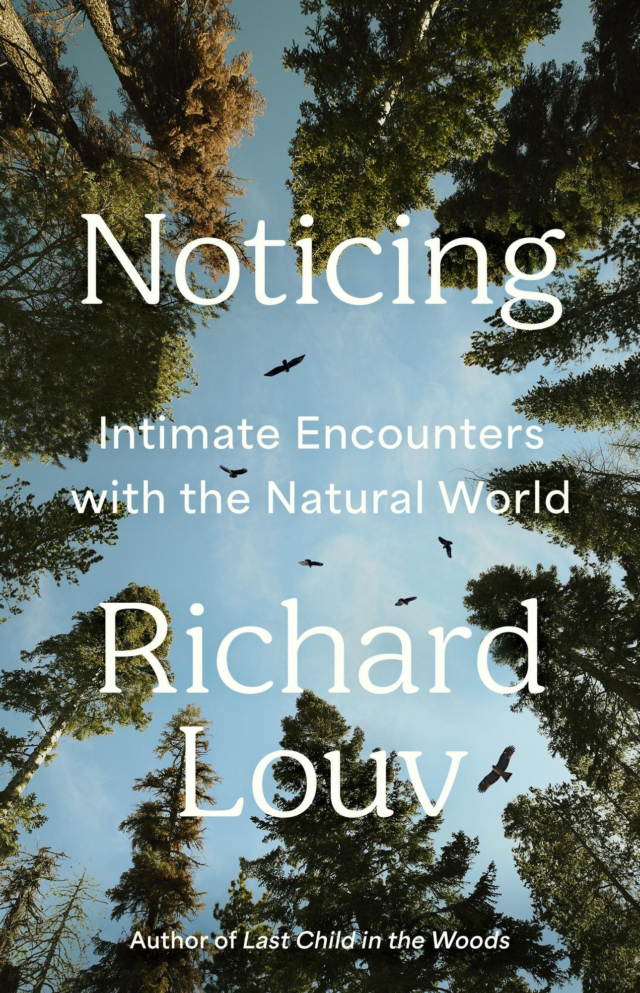 Noticing: Intimate Encounters With the Natural World