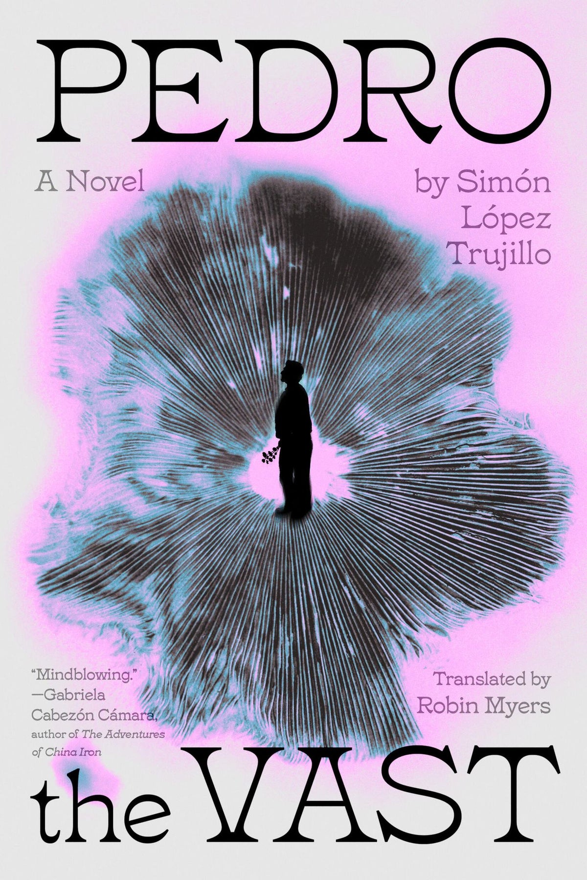Pedro the Vast: A Novel