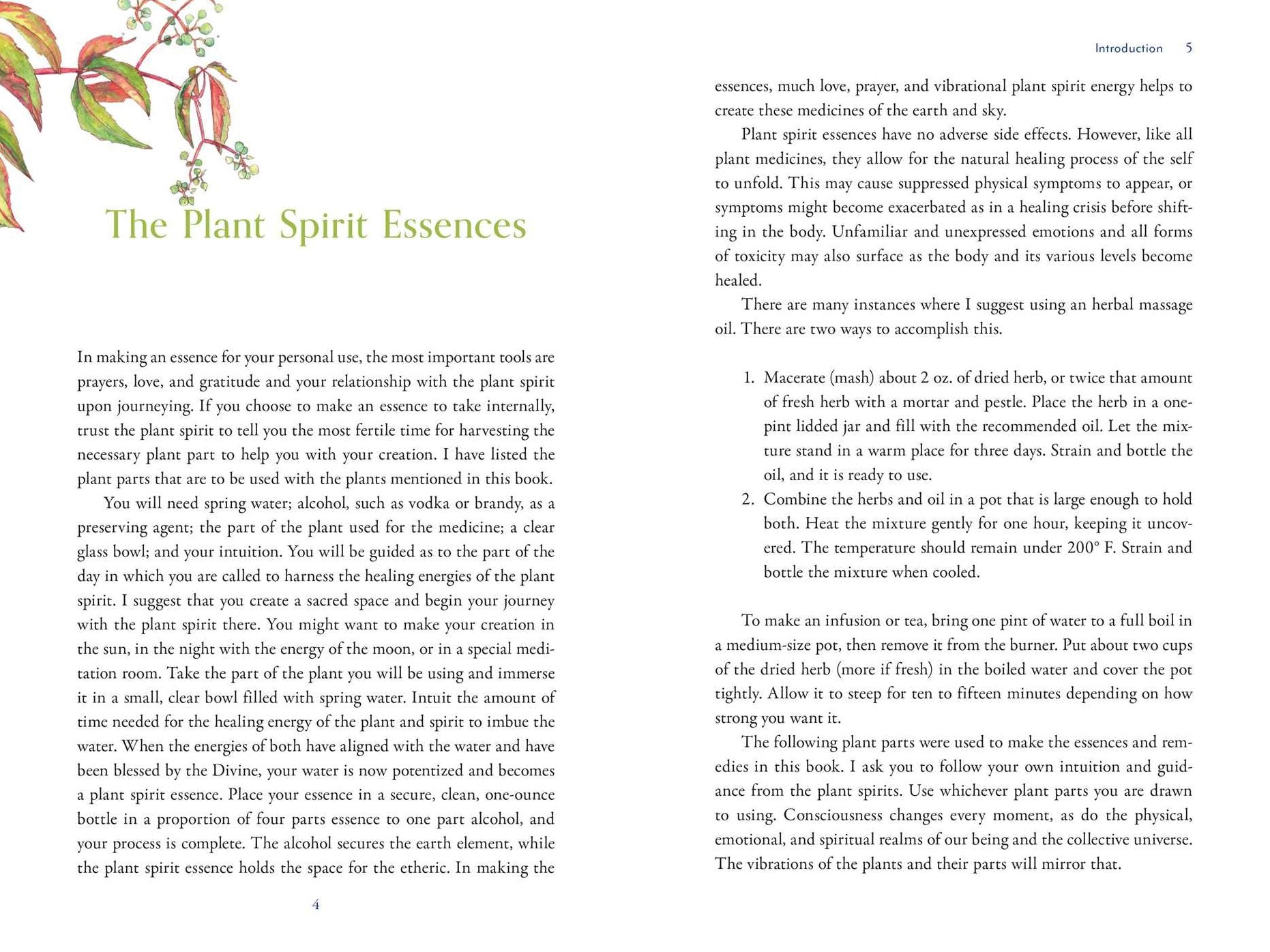 The Divine Nature of Plants: A Medical Intuitive's Guide to Plant Spirit Medicine