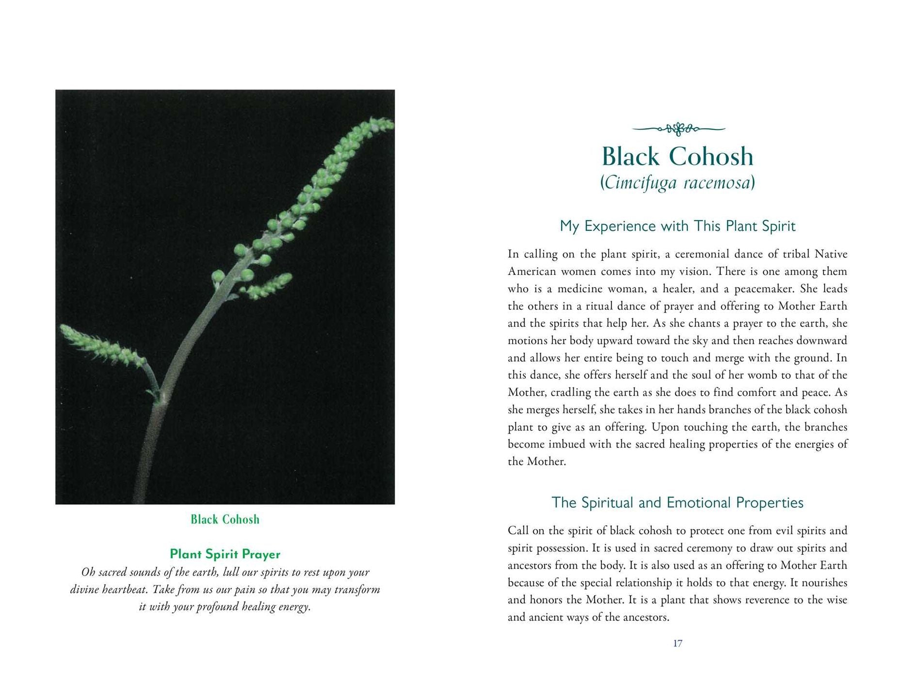 The Divine Nature of Plants: A Medical Intuitive's Guide to Plant Spirit Medicine