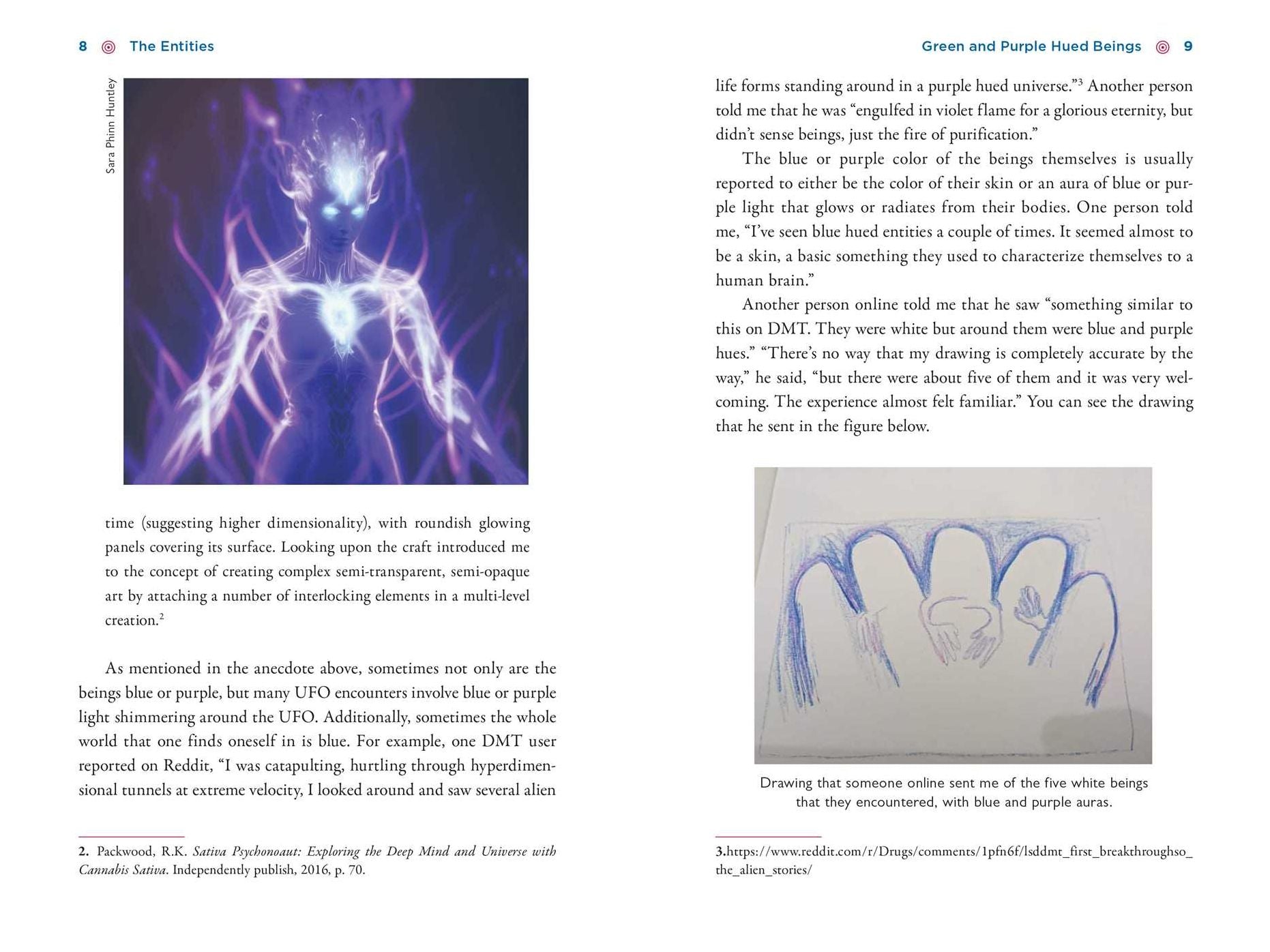 The Illustrated Field Guide to DMT Entities: Machine Elves, Tricksters, Teachers, and Other Interdimensional Beings