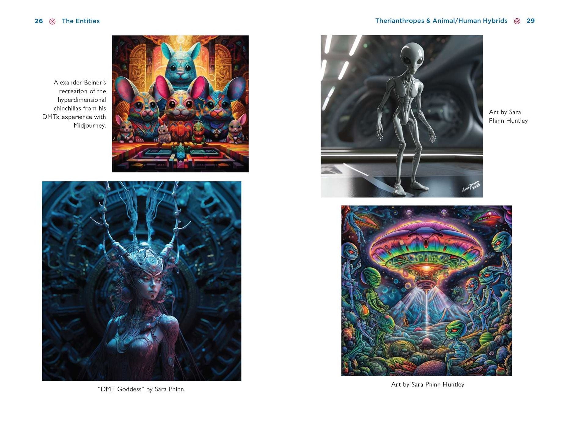The Illustrated Field Guide to DMT Entities: Machine Elves, Tricksters, Teachers, and Other Interdimensional Beings