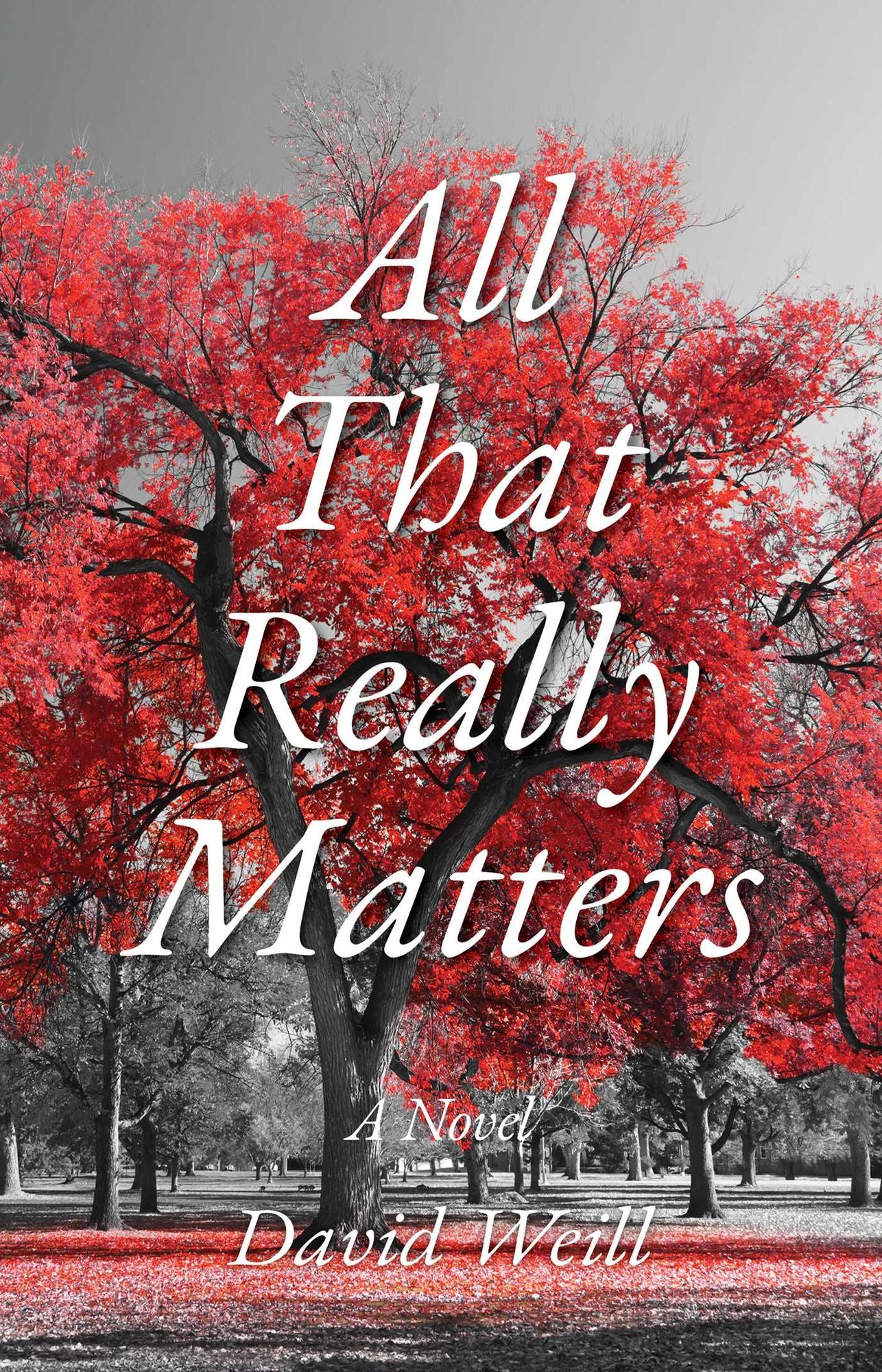 All That Really Matters: A Novel