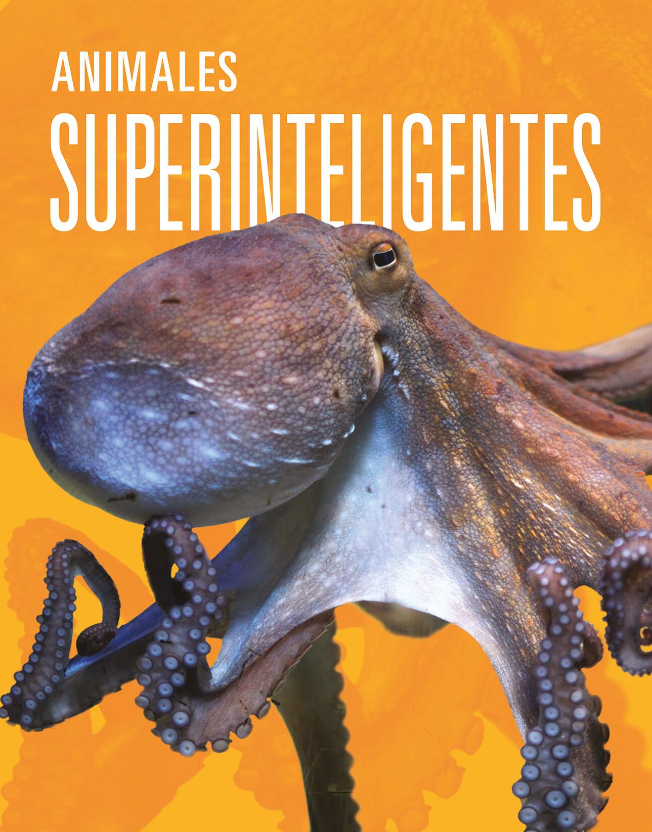 Animales superinteligentes