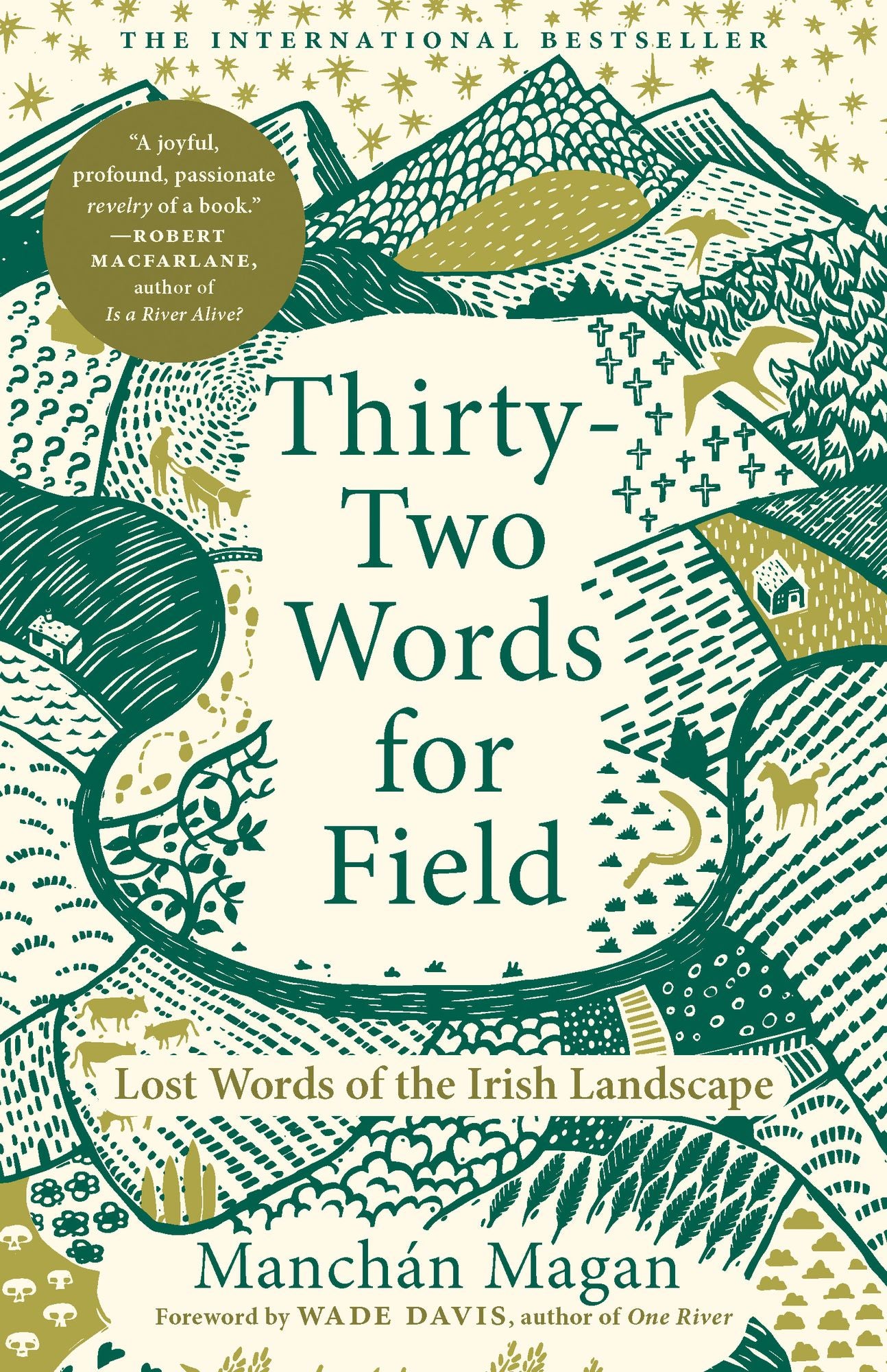 Thirty-Two Words for Field: Lost Words of the Irish Landscape