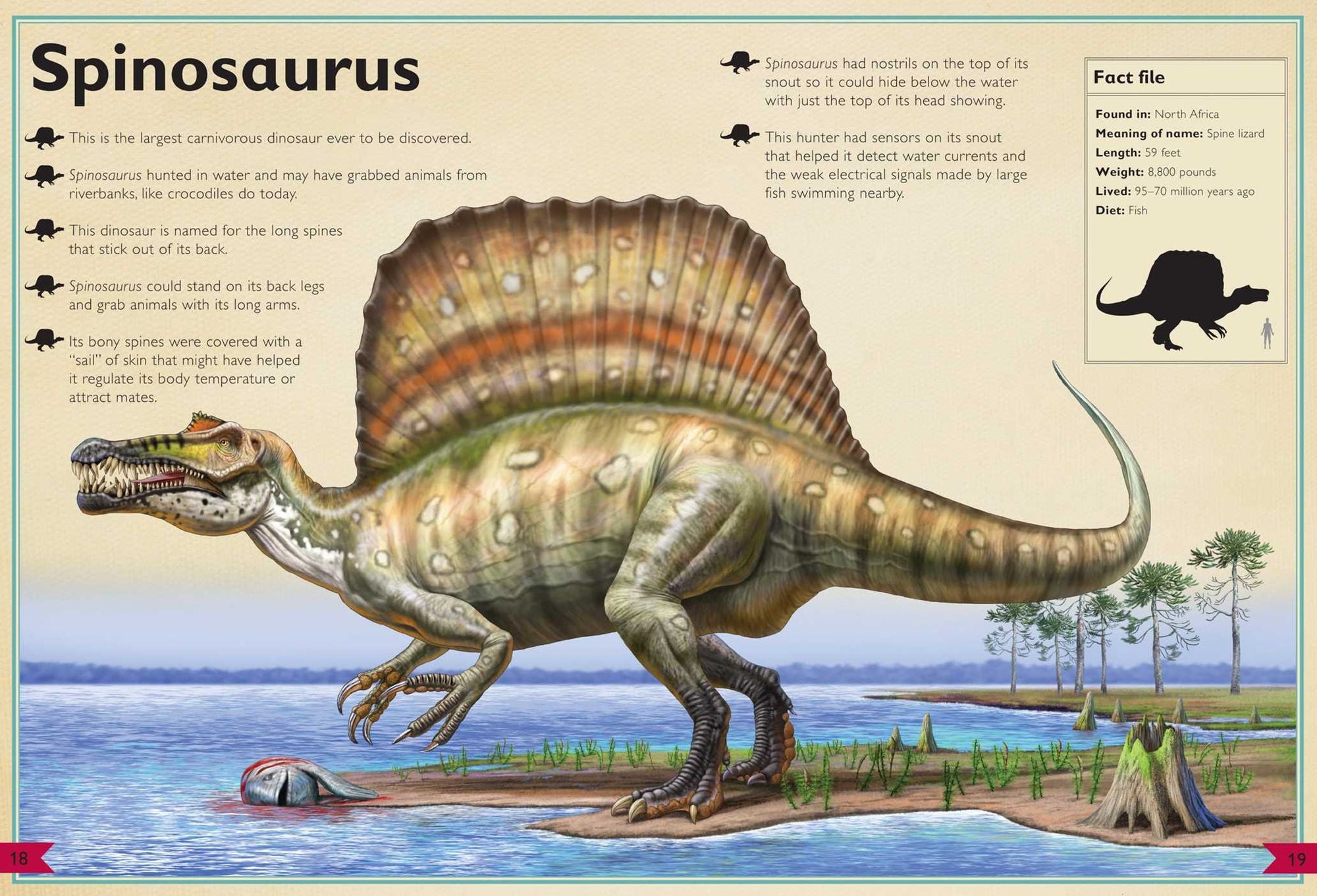 The Magnificent Book of Dinosaurs