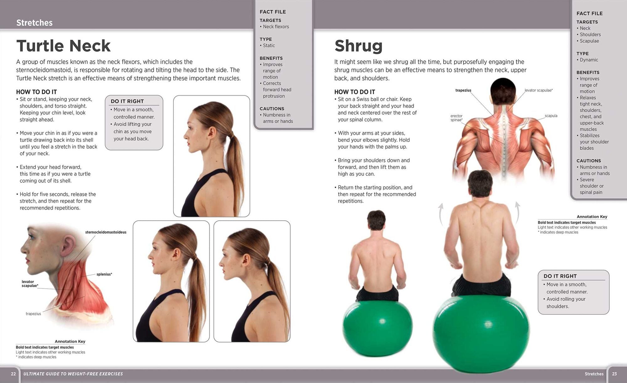 Ultimate Guide to Weight-Free Exercises