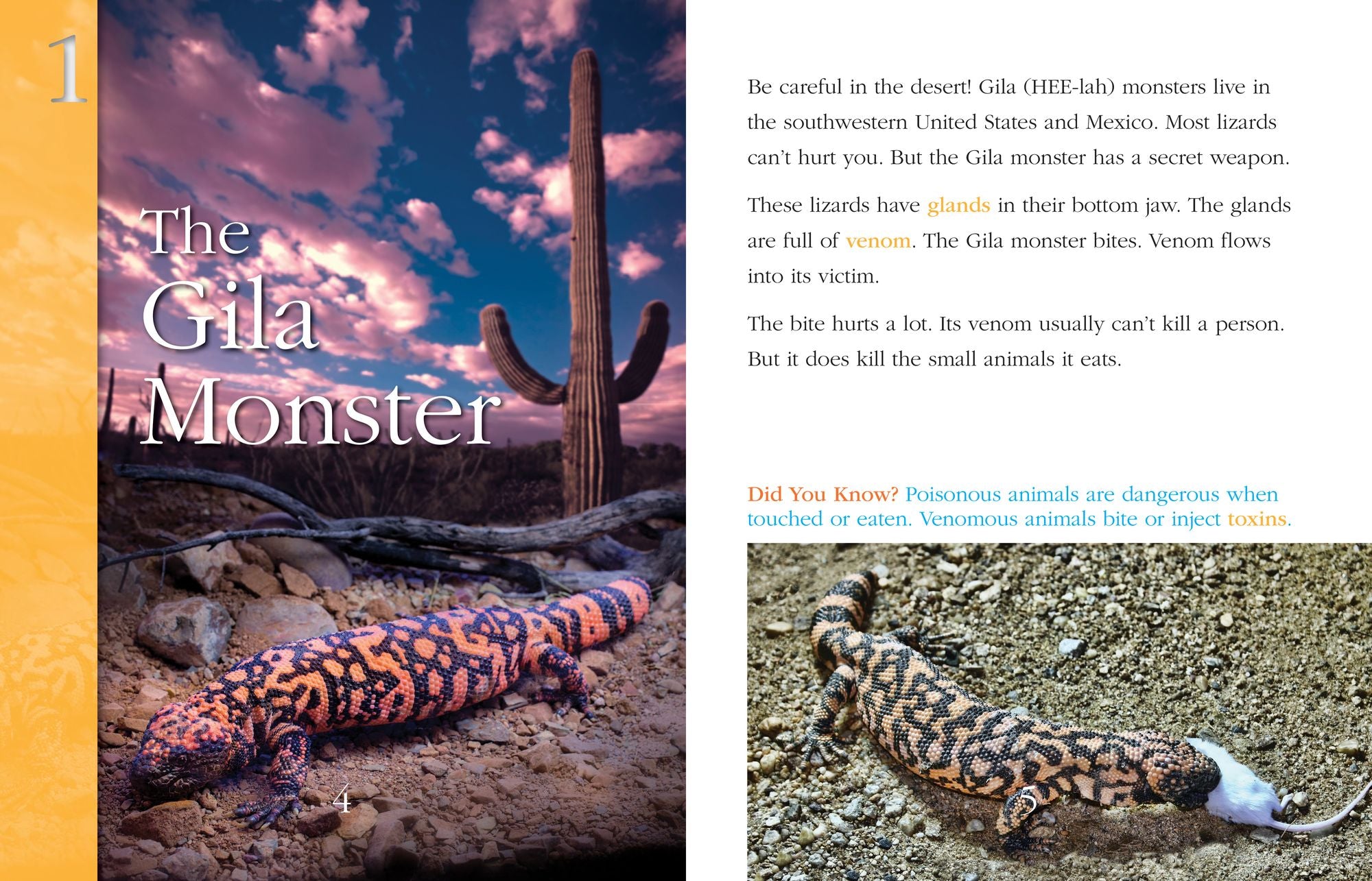 Super-Deadly Animals