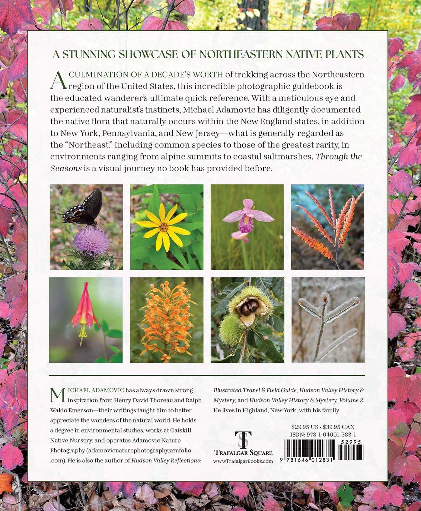 Through the Seasons: A Botanical Odyssey of the Native Plants of the Northeast
