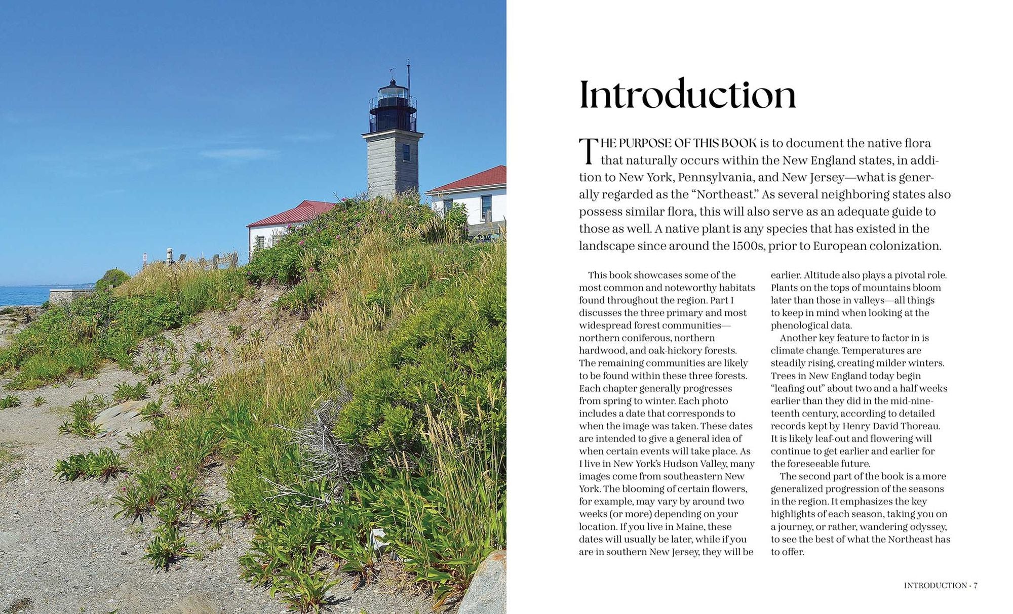 Through the Seasons: A Botanical Odyssey of the Native Plants of the Northeast