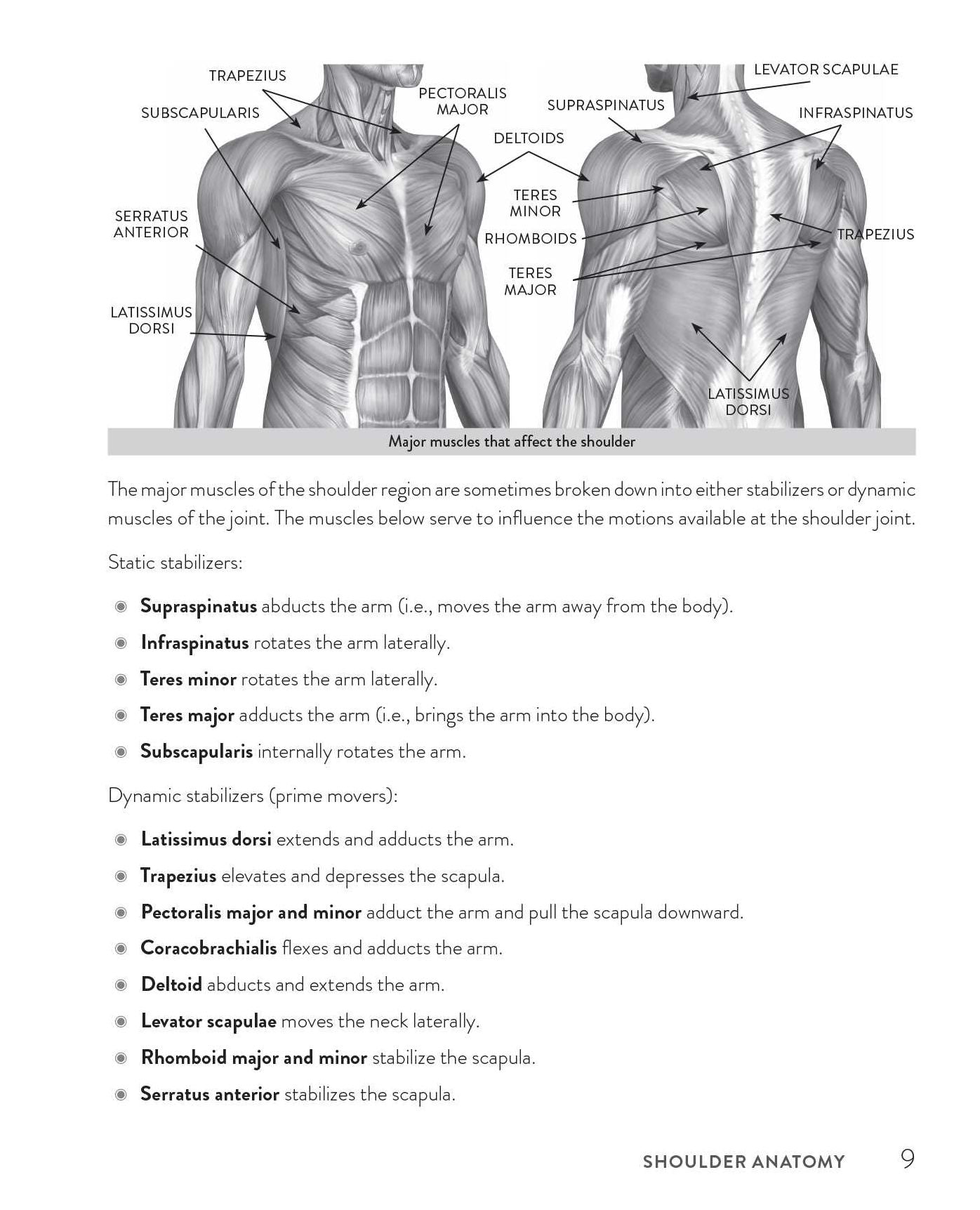 Healthy Shoulder Handbook: Second Edition: 100 Exercises for Treating Common Injuries and Ending Chronic Pain