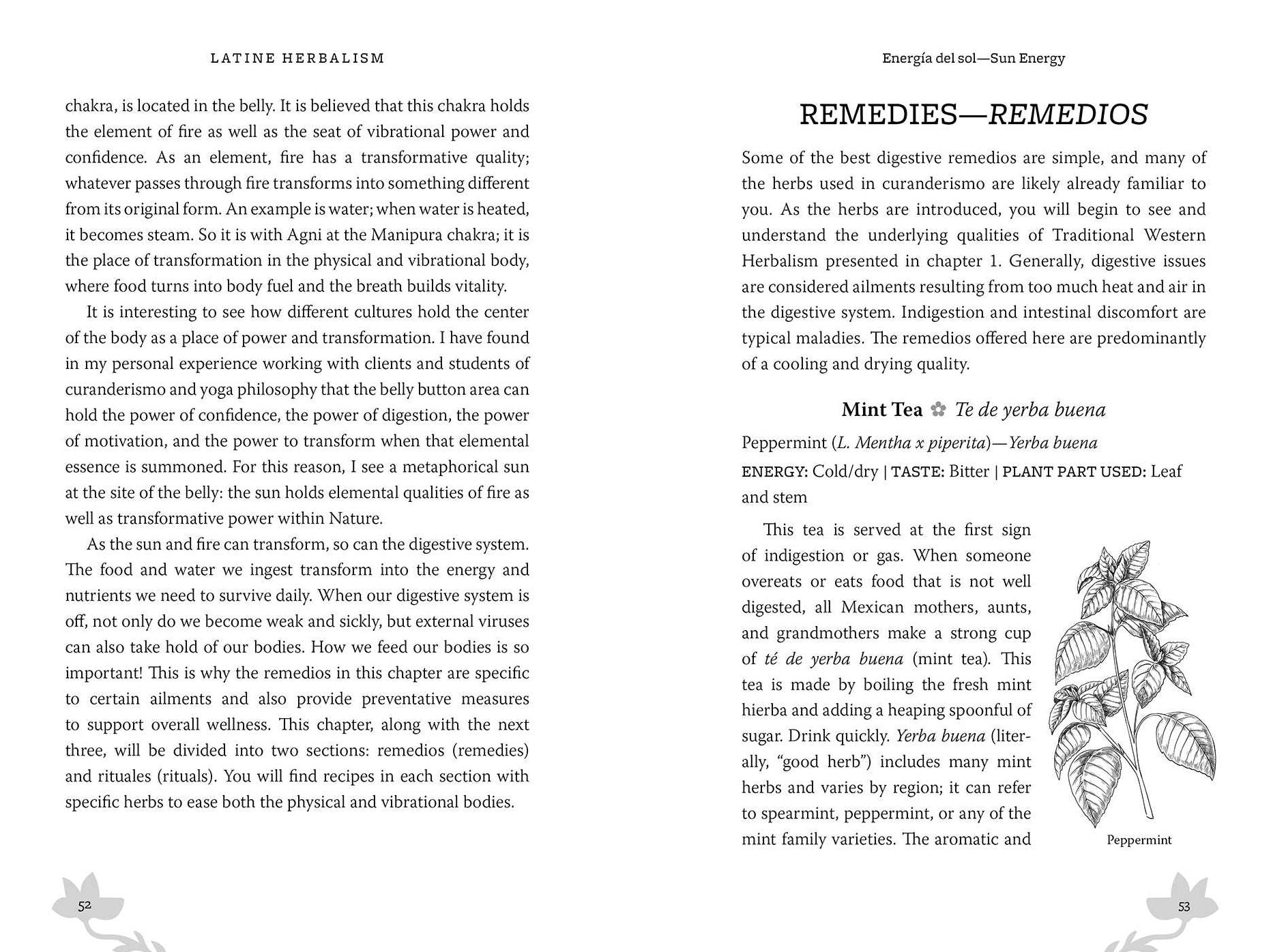 Latine Herbalism: A Beginner's Guide to Modern Curanderismo, Healing Plants, and Folk Traditions of the Americas