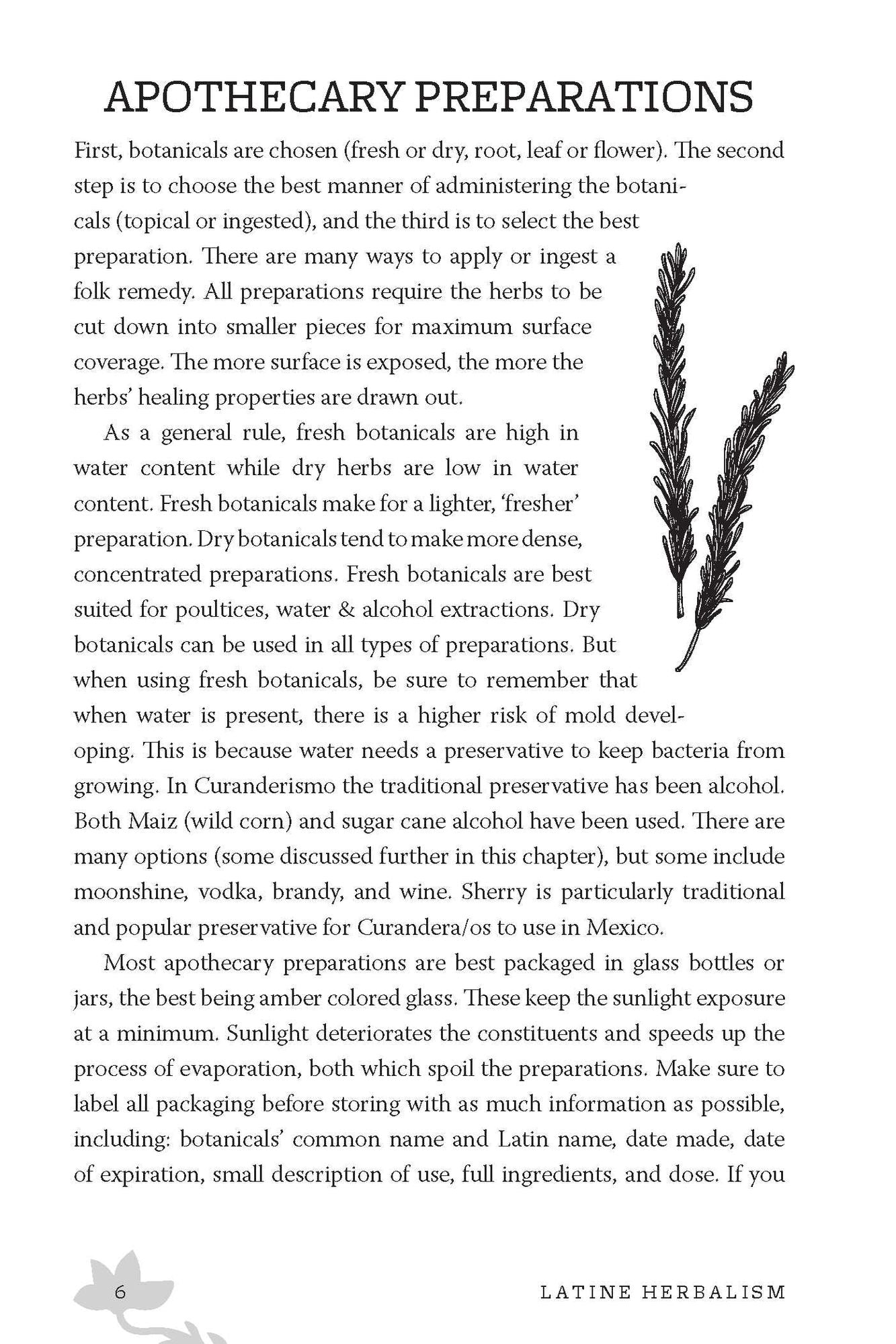 Latine Herbalism: A Beginner's Guide to Modern Curanderismo, Healing Plants, and Folk Traditions of the Americas