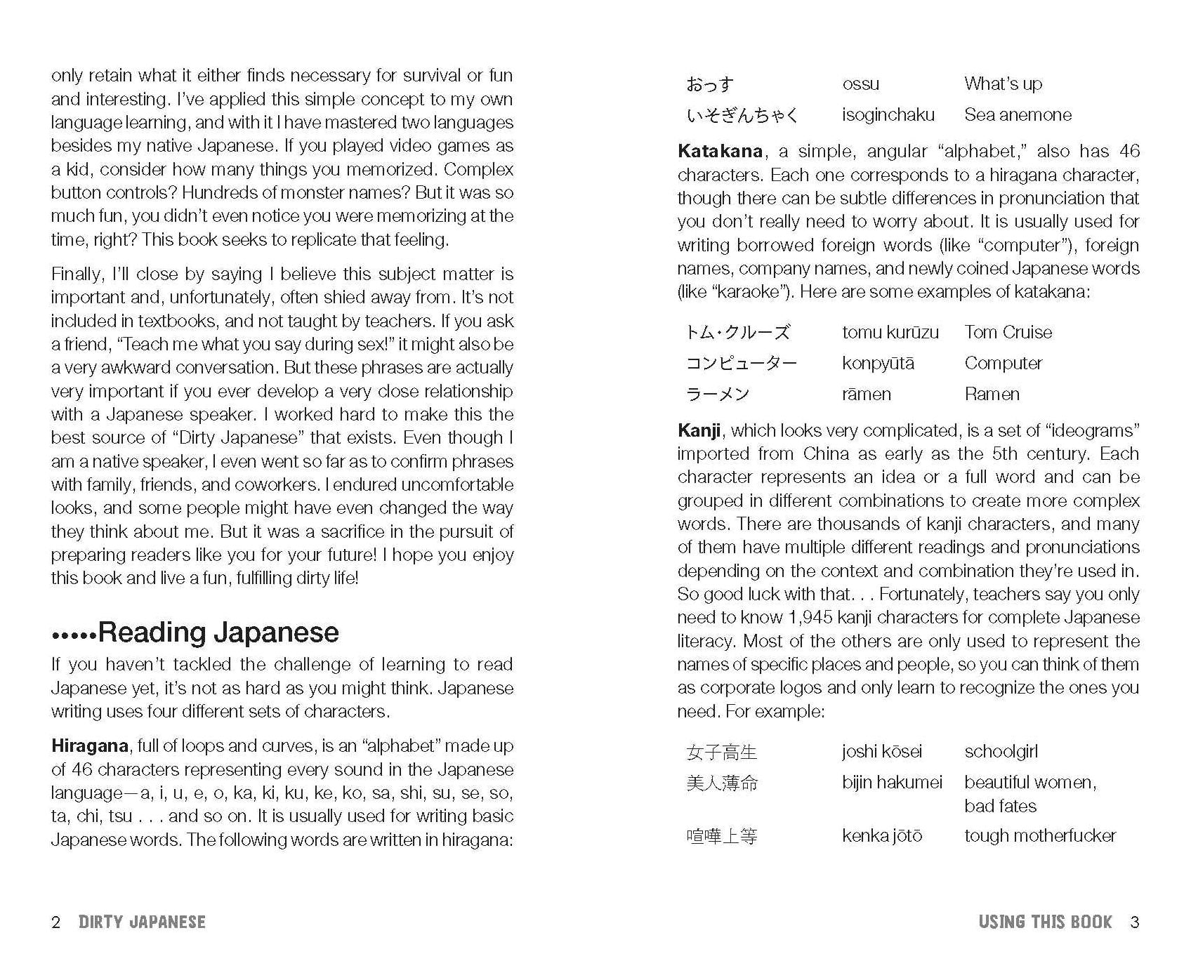 Dirty Japanese, Second Edition: Power Up Your Conversation with Casual Slang and Onomatopoeia Phrases to Use with Friends, Enemies, Lovers, and More