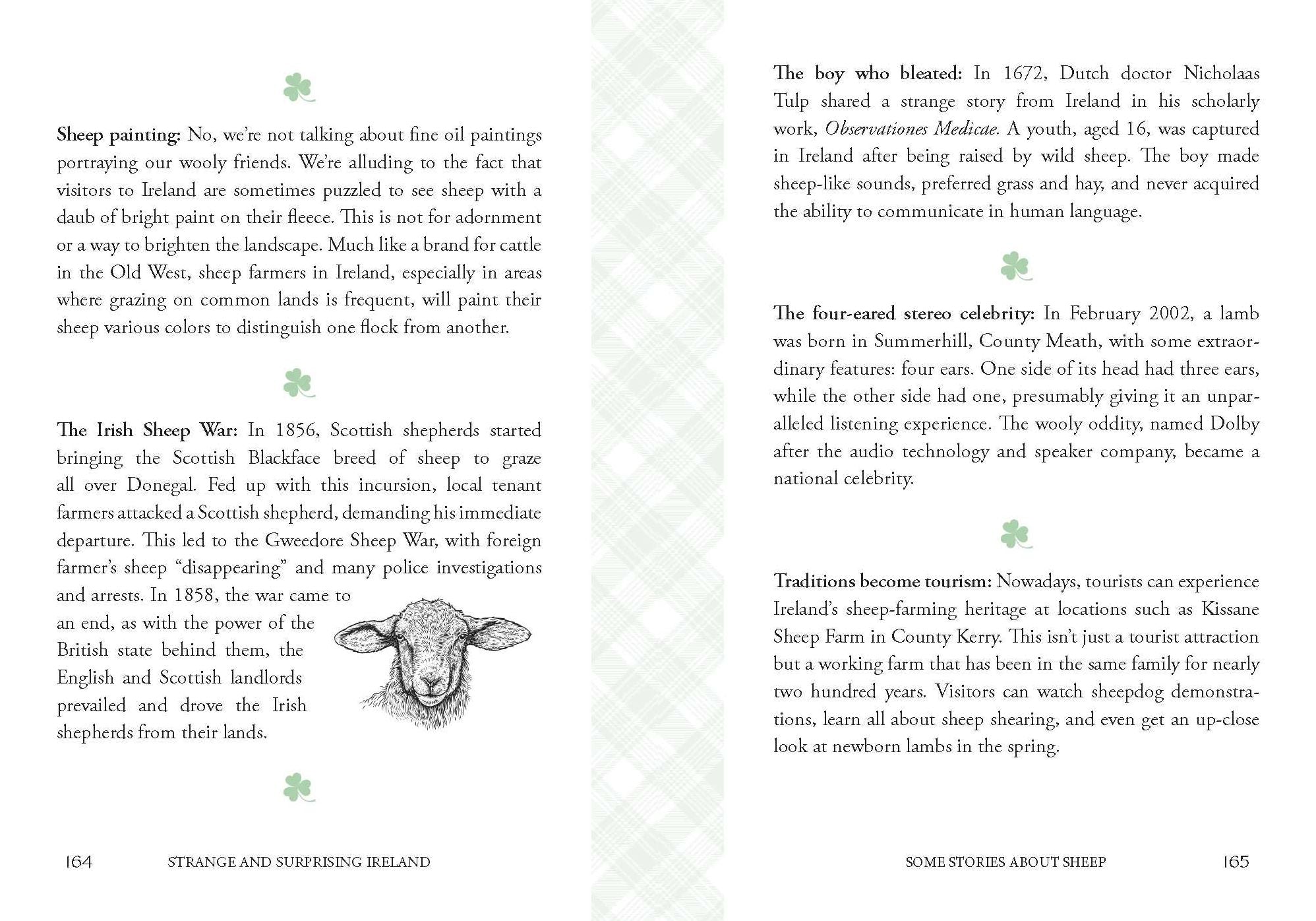 Strange and Surprising Ireland: The People, The Land, The Odd & The Extraordinary (Irish History, Facts, and Trivia)