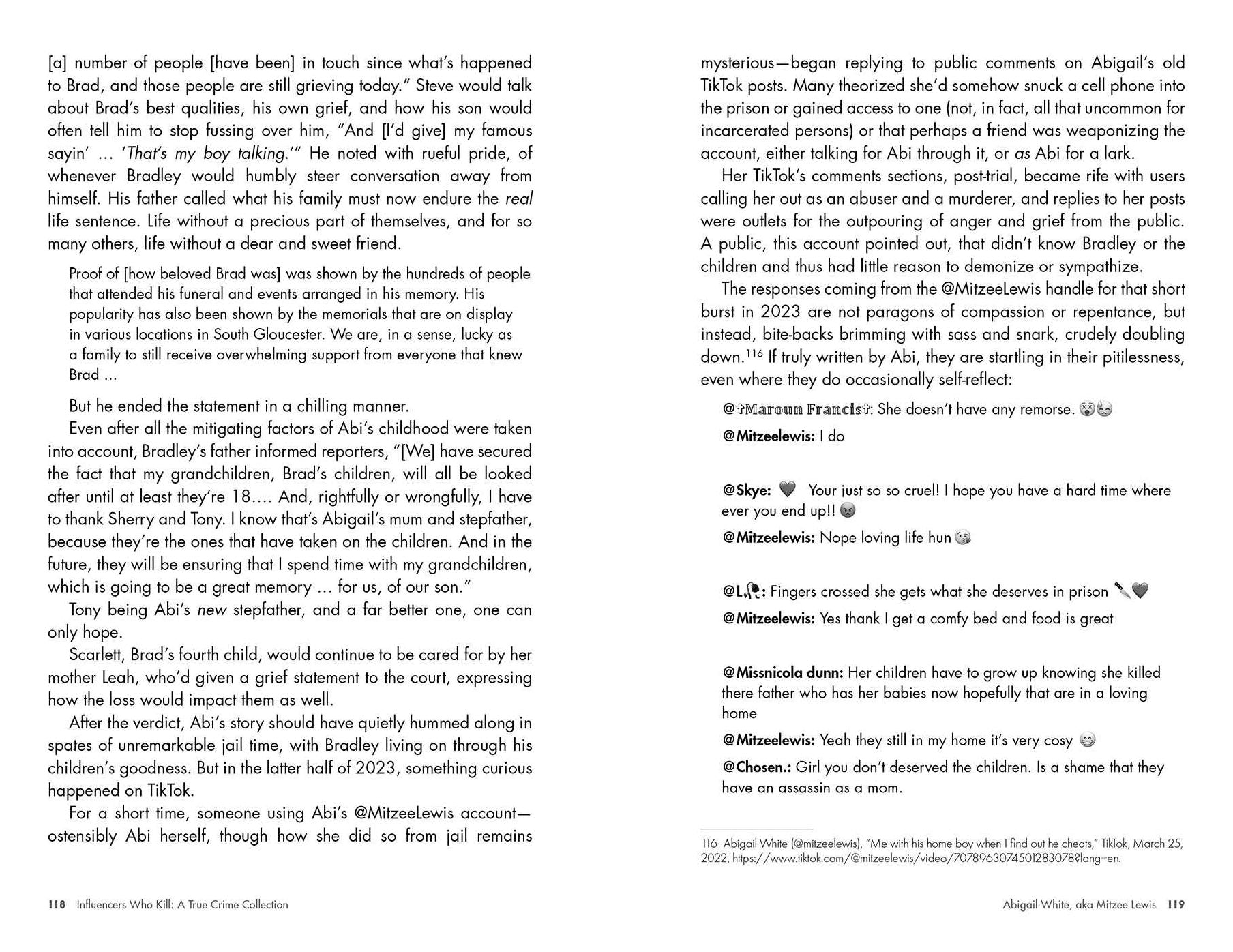 Influencers Who Kill: A True Crime Collection: Real Stories of Online Fame and Fatal Consequences