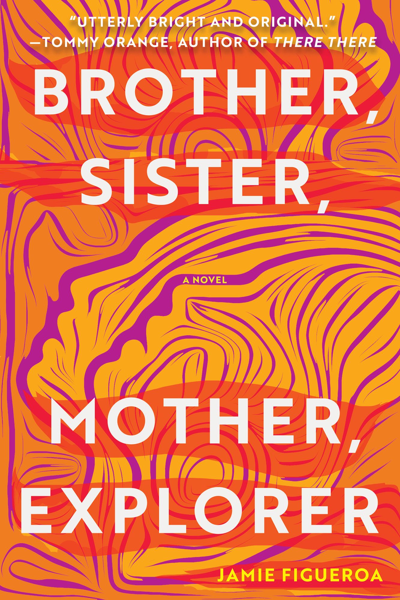 Brother, Sister, Mother, Explorer: A Novel