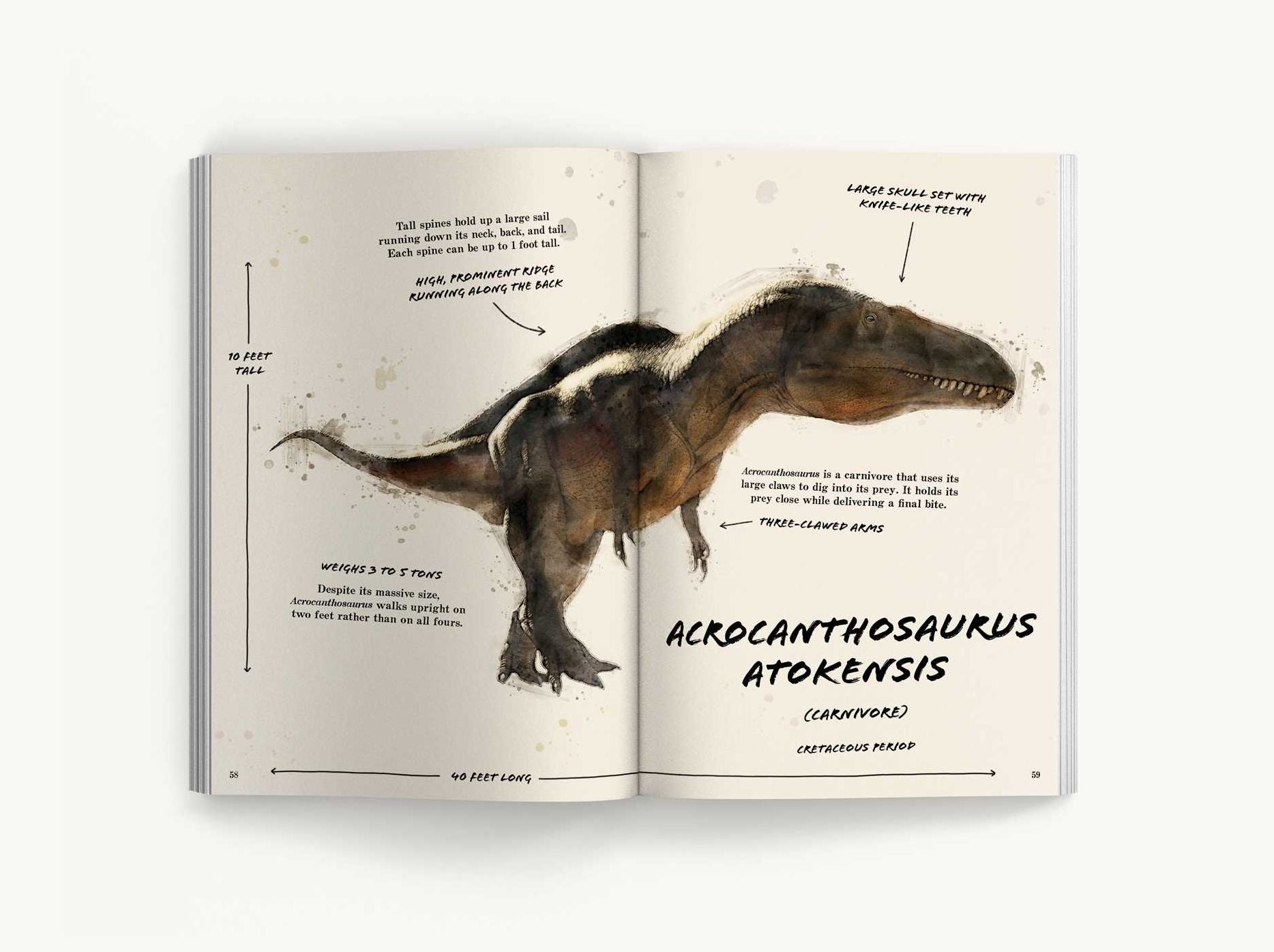 The Ultimate Dinosaur Field Guide: The Prehistoric Explorer's Handbook