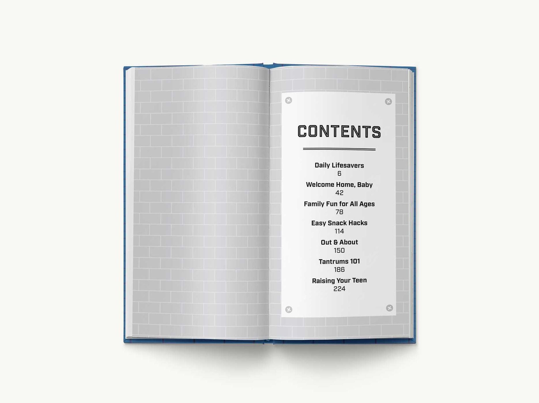 The Brick of Dad Hacks: Tips, Tricks, Shortcuts, and Dad-isms for Easy Parenting (Fatherhood, Parenting Book, Parenting Advice, New Dads)