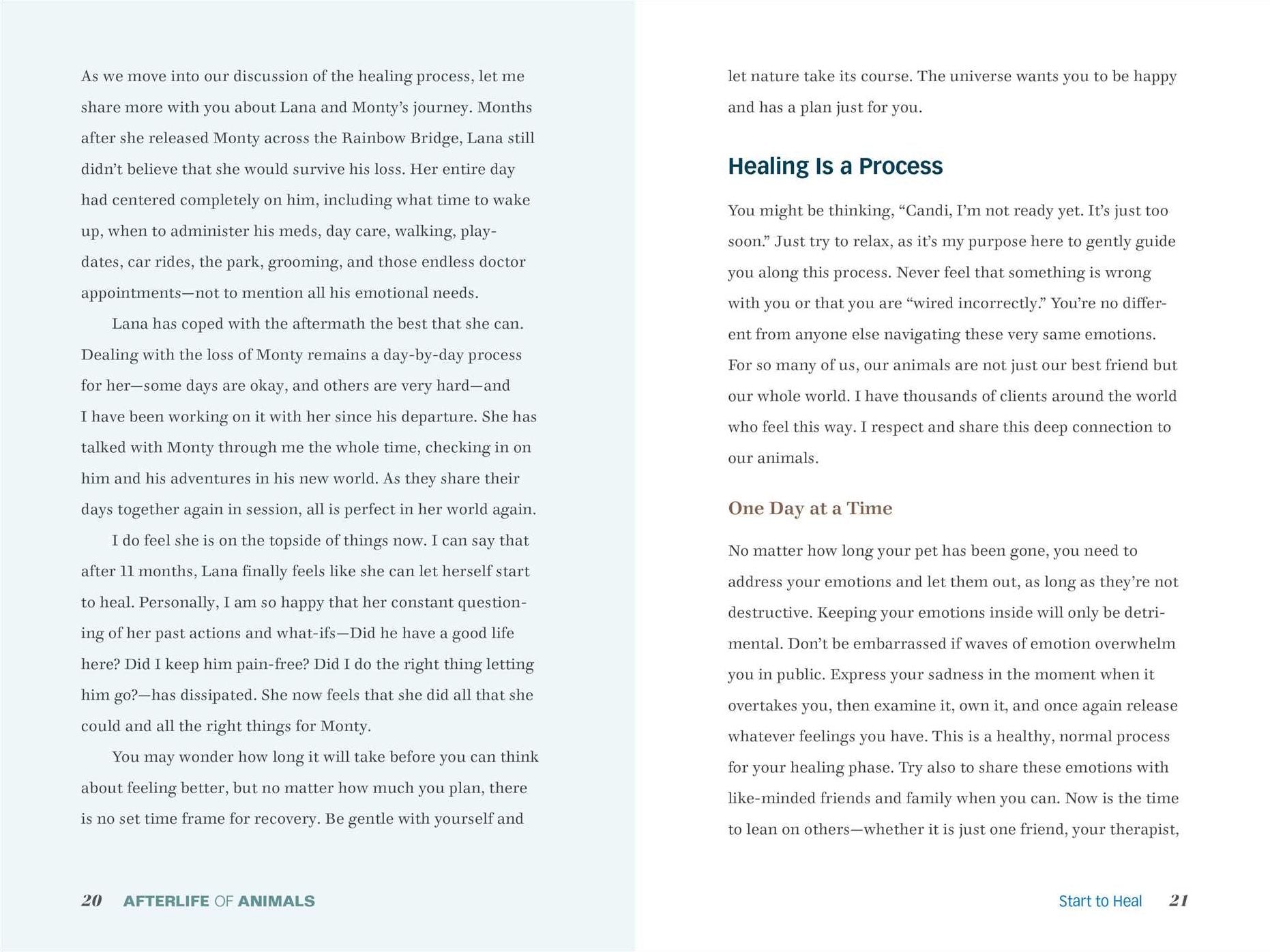 Afterlife of Animals: A Guide to Healing from Loss and Communicating with Your Beloved Pet
