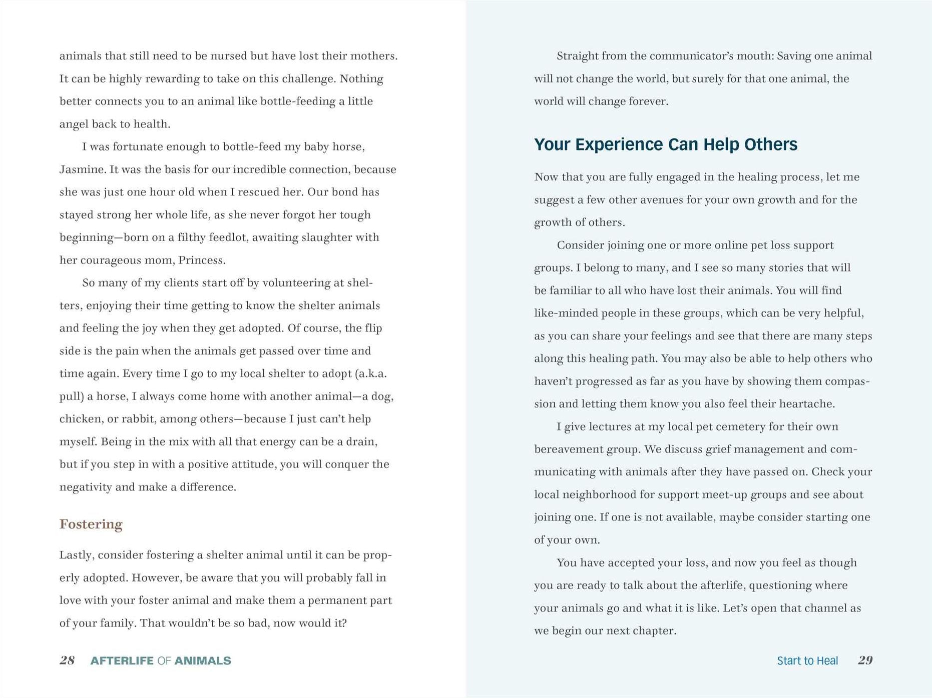 Afterlife of Animals: A Guide to Healing from Loss and Communicating with Your Beloved Pet