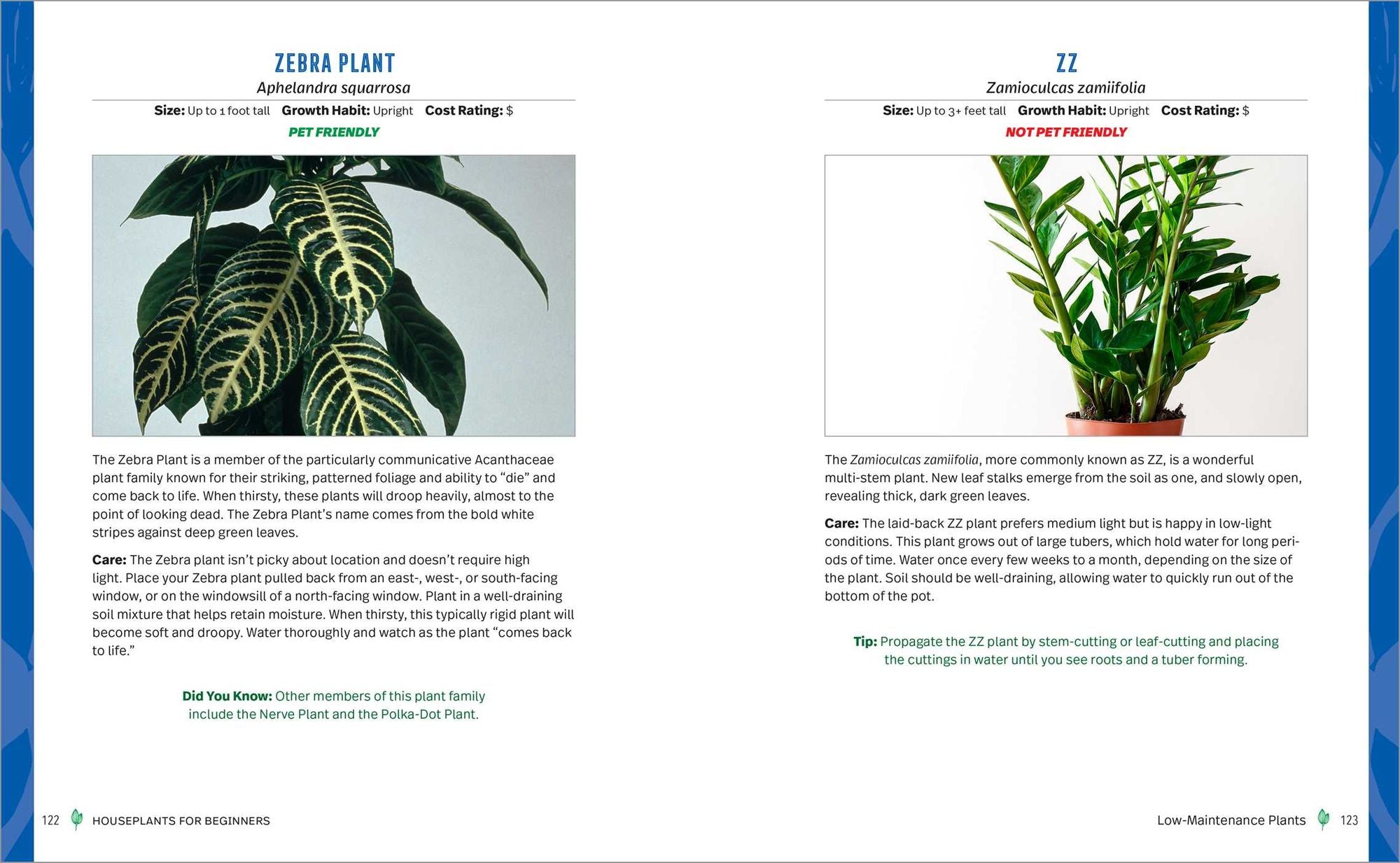 Houseplants for Beginners: A Practical Guide to Choosing, Growing, and Helping Your Plants Thrive