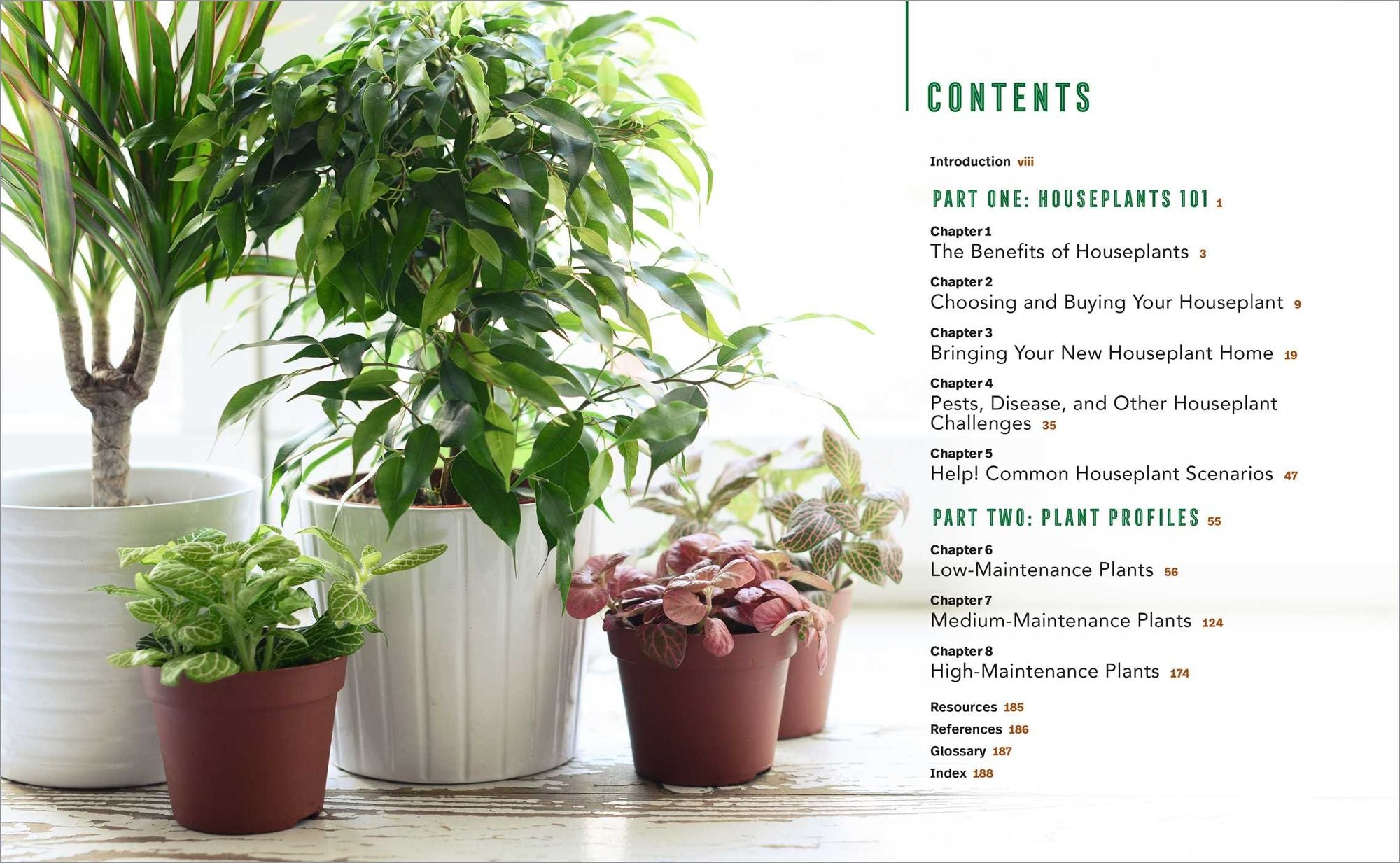 Houseplants for Beginners: A Practical Guide to Choosing, Growing, and Helping Your Plants Thrive