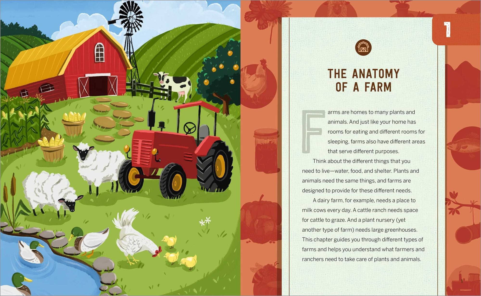 Farm Anatomy Activities for Kids: Fun, Hands-On Learning