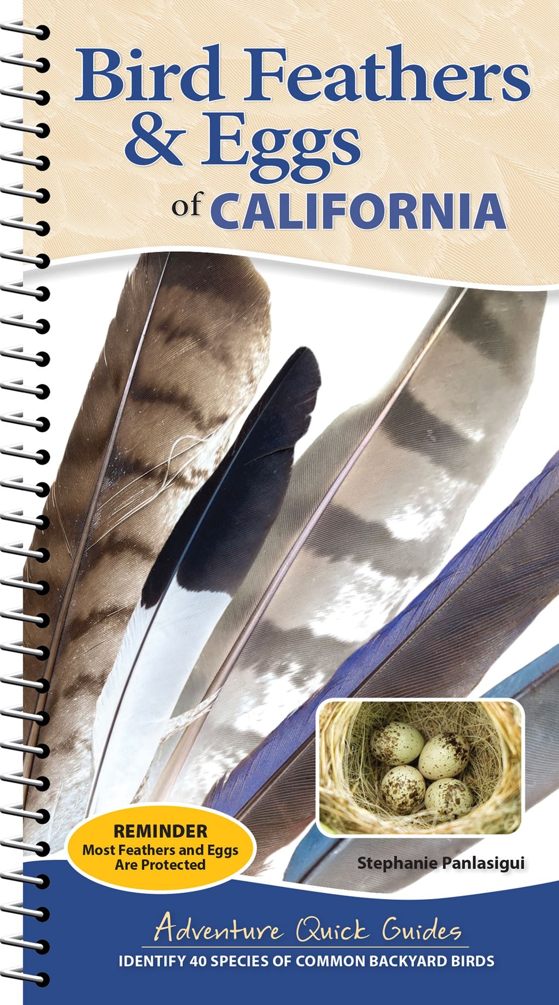 Bird Feathers & Eggs of California: Identify 40 Species of Common Backyard Birds