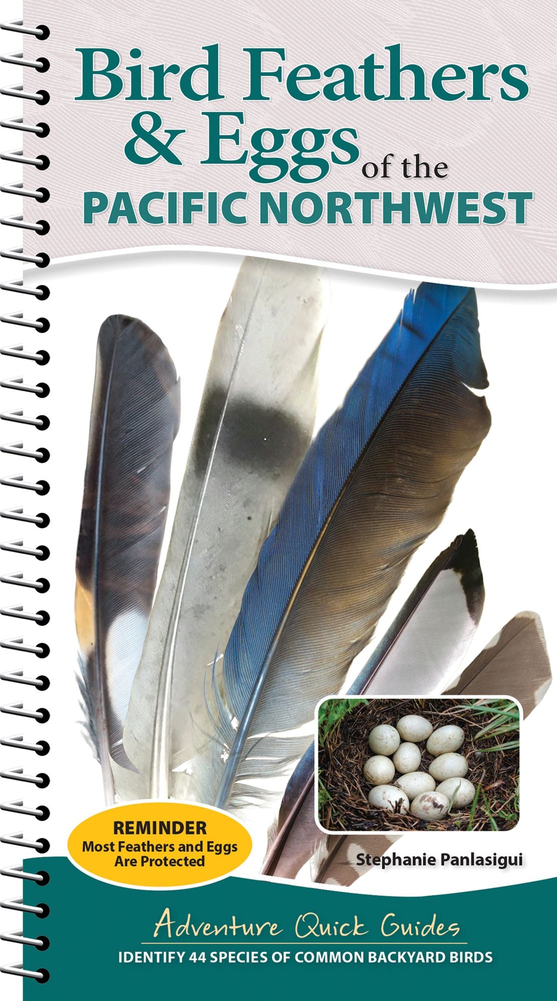 Bird Feathers & Eggs of the Pacific Northwest: Identify 44 Species of Common Backyard Birds