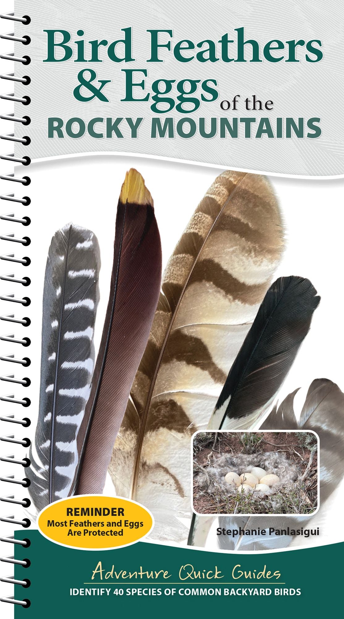 Bird Feathers & Eggs of the Rocky Mountains: Identify 40 Species of Common Backyard Birds