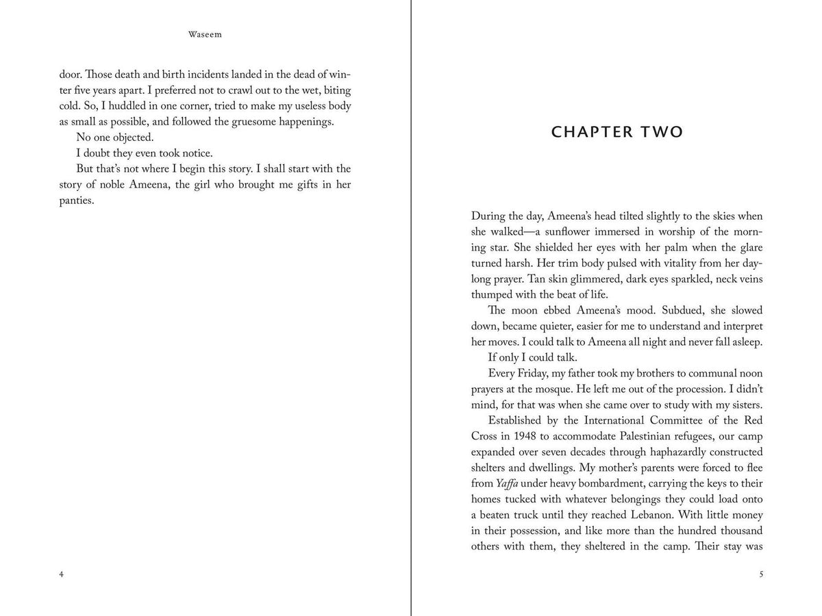 Waseem: A Novel