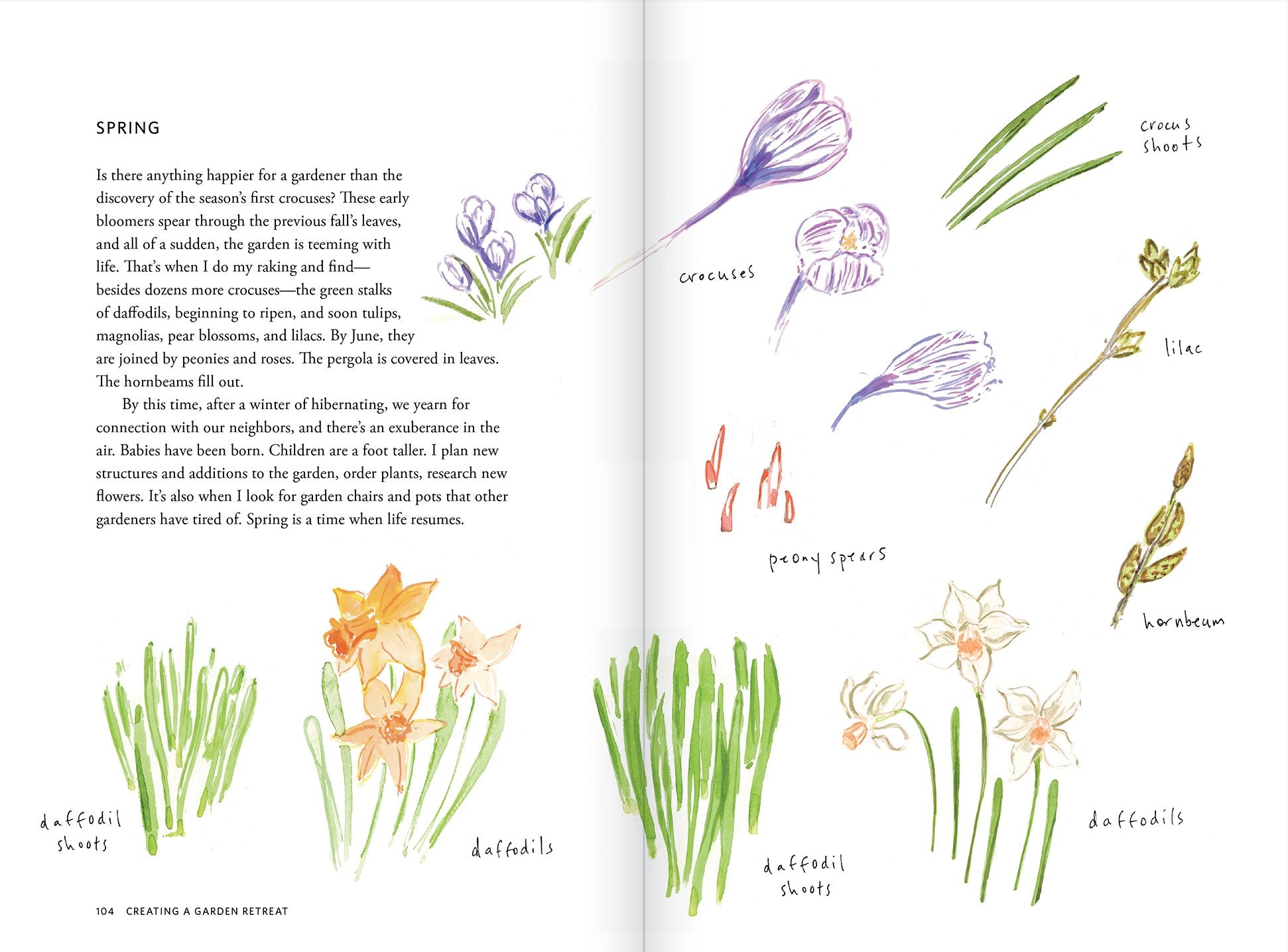 Creating a Garden Retreat: An Artist's Guide to Planting an Outdoor Sanctuary