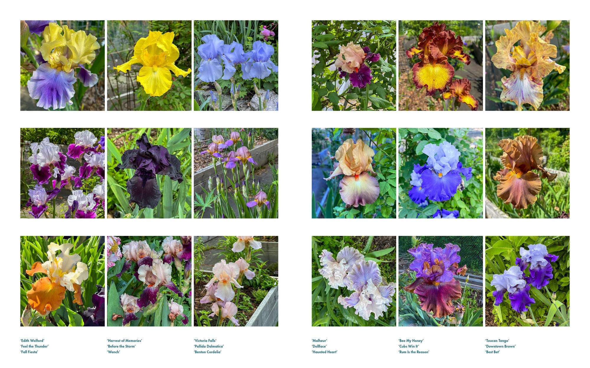 Life with Flowers: Inspiration and Lessons from the Garden