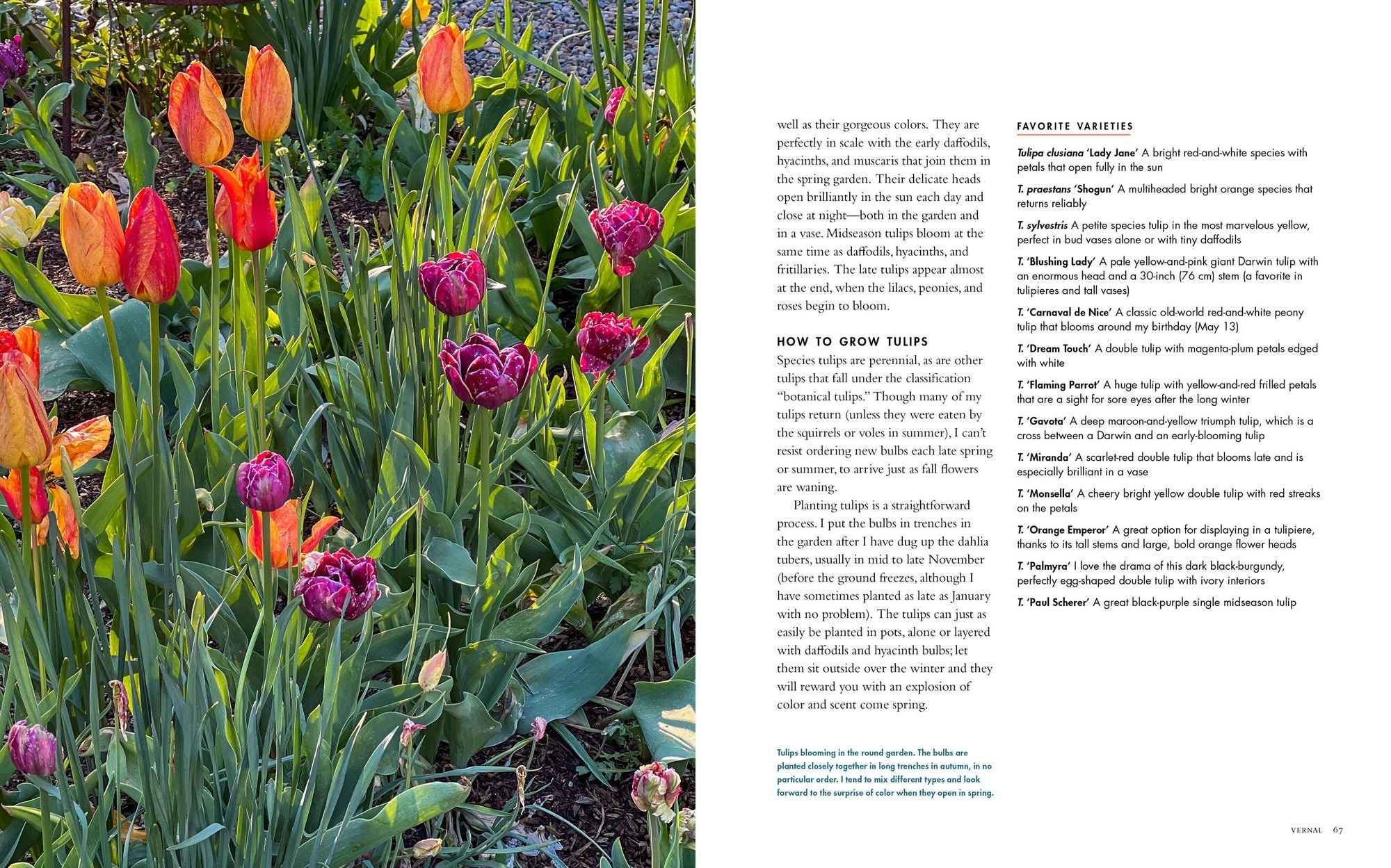 Life with Flowers: Inspiration and Lessons from the Garden