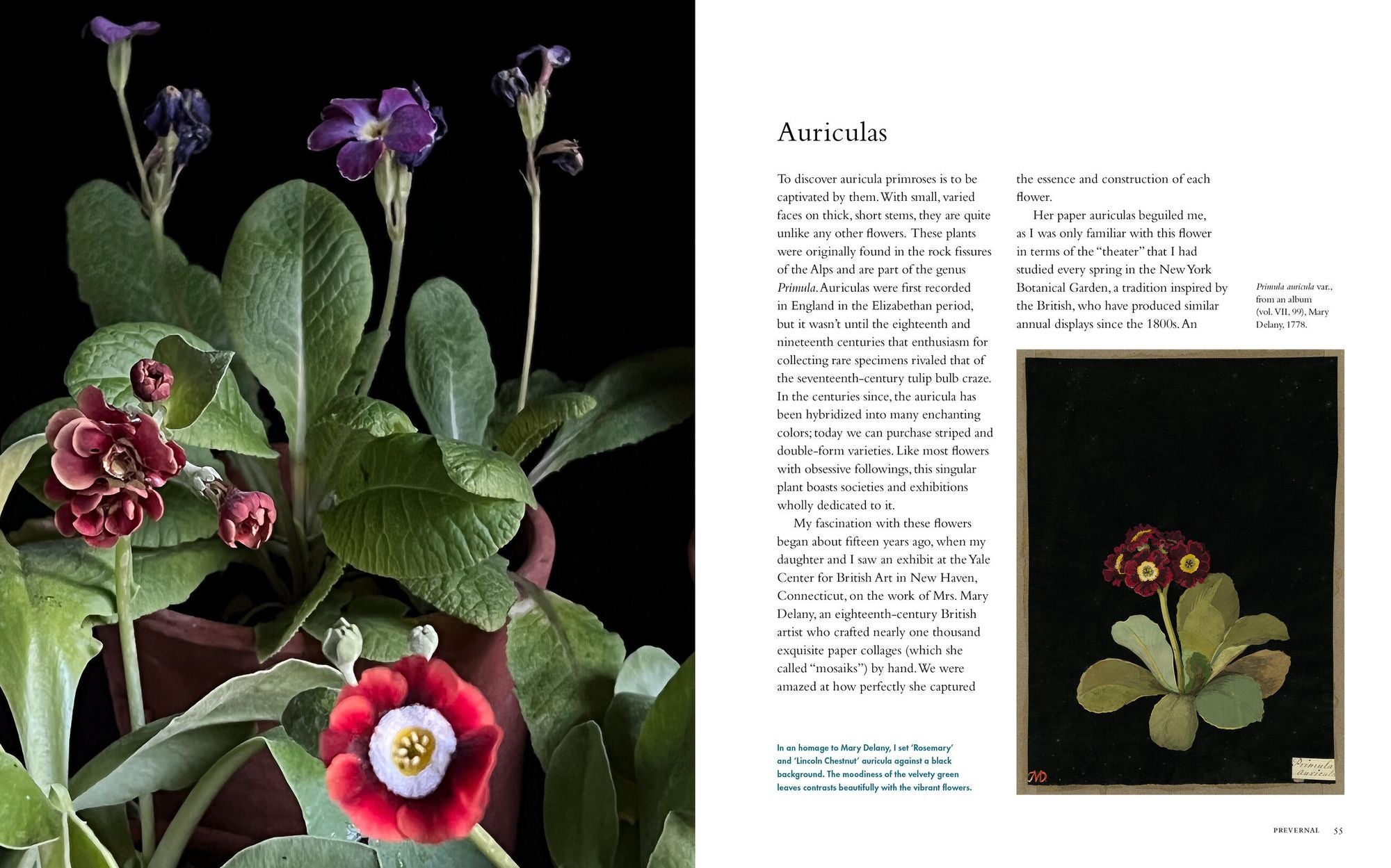 Life with Flowers: Inspiration and Lessons from the Garden