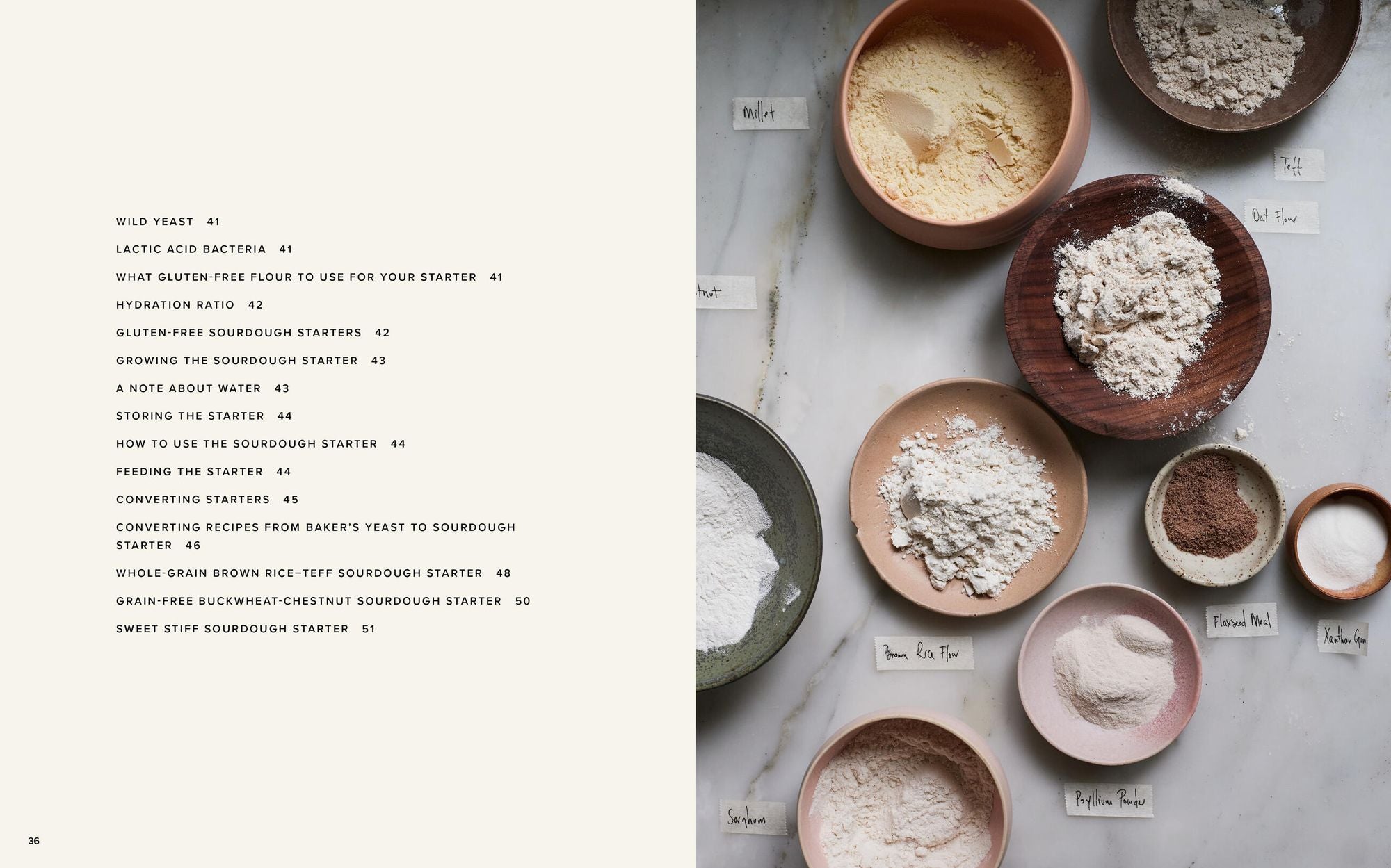 The Art of Gluten-Free Bread: Groundbreaking Recipes for Artisanal Breads and Pastries