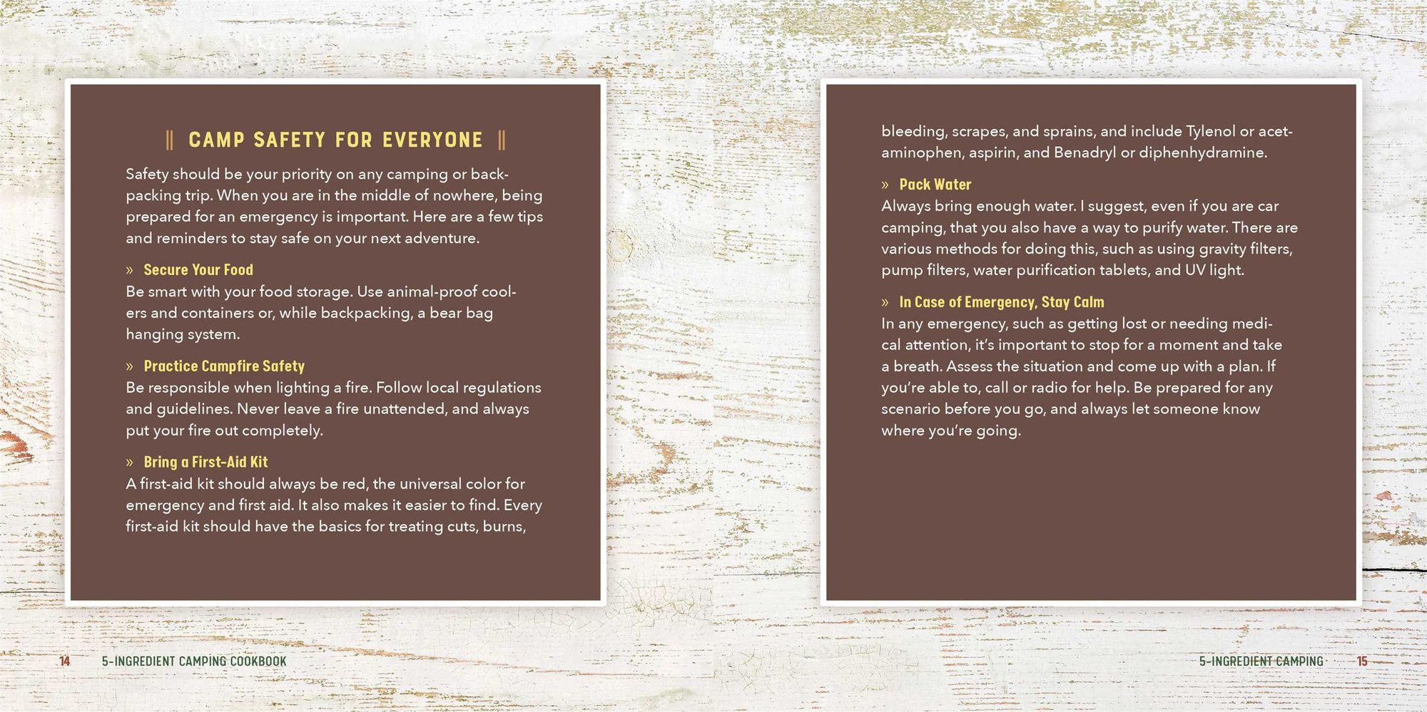 5-Ingredient Camping Cookbook: Easy, Flavorful Recipes for Eating Well in the Great Outdoors