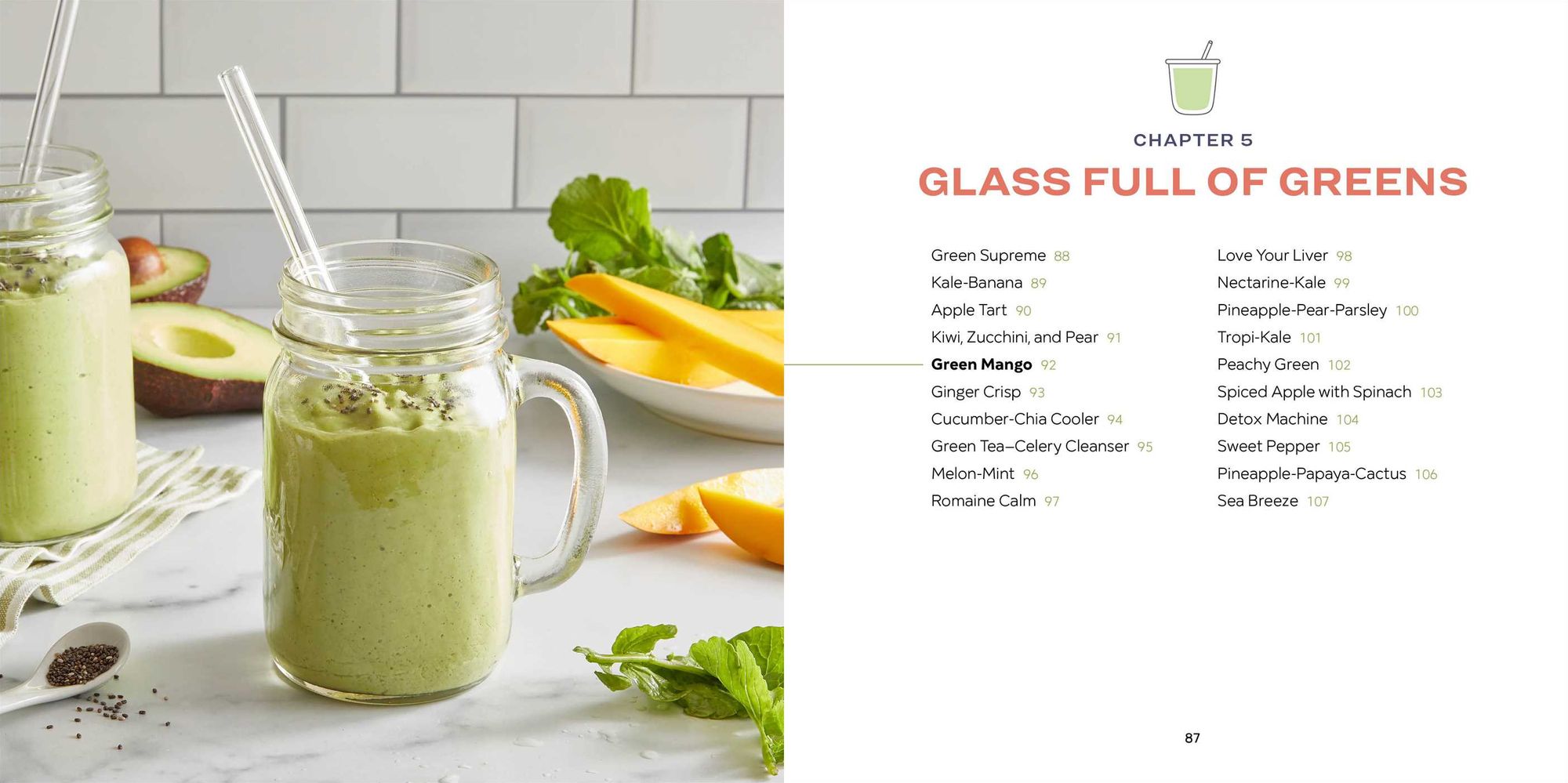 5-Ingredient Smoothie Recipe Book: 100 Nutrient-Packed Smoothies